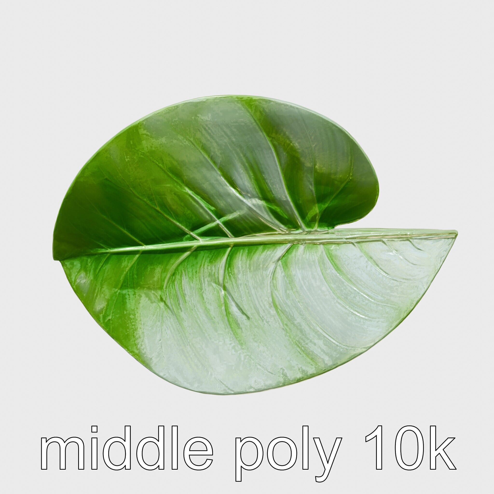 Alocasia Leaf Heart-Shaped 3D Model Pack Low-poly 3D model_21