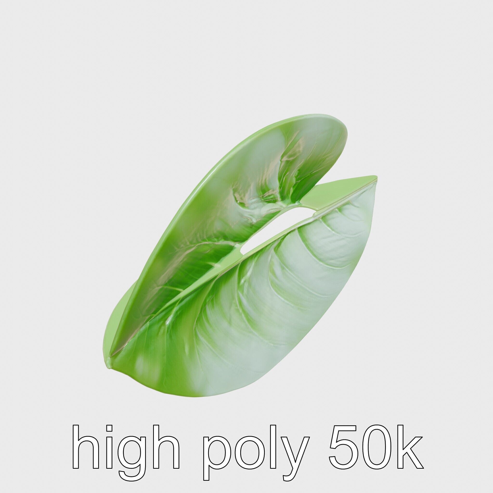 Alocasia Leaf Heart-Shaped 3D Model Pack Low-poly 3D model_18