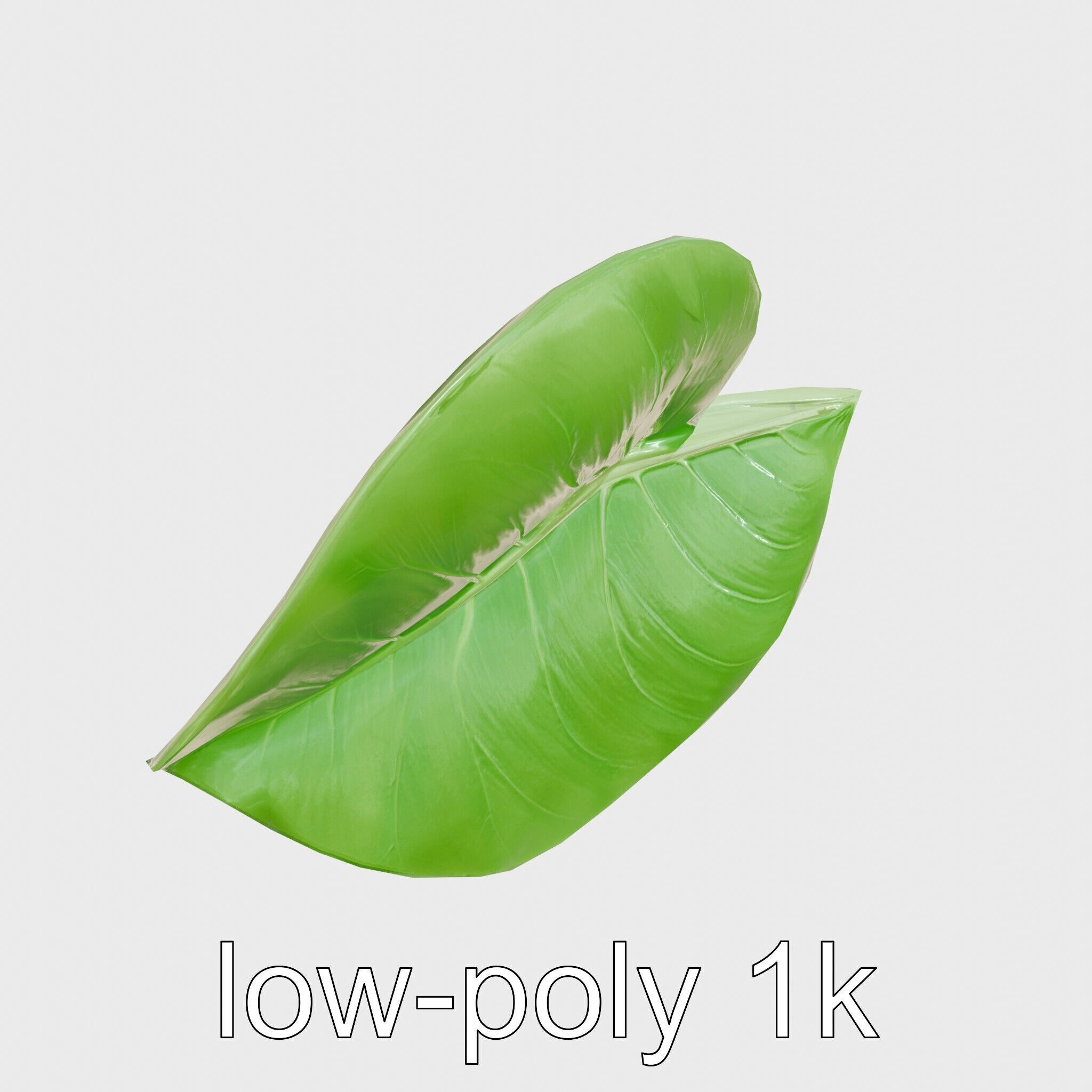 Alocasia Leaf Heart-Shaped 3D Model Pack Low-poly 3D model_27