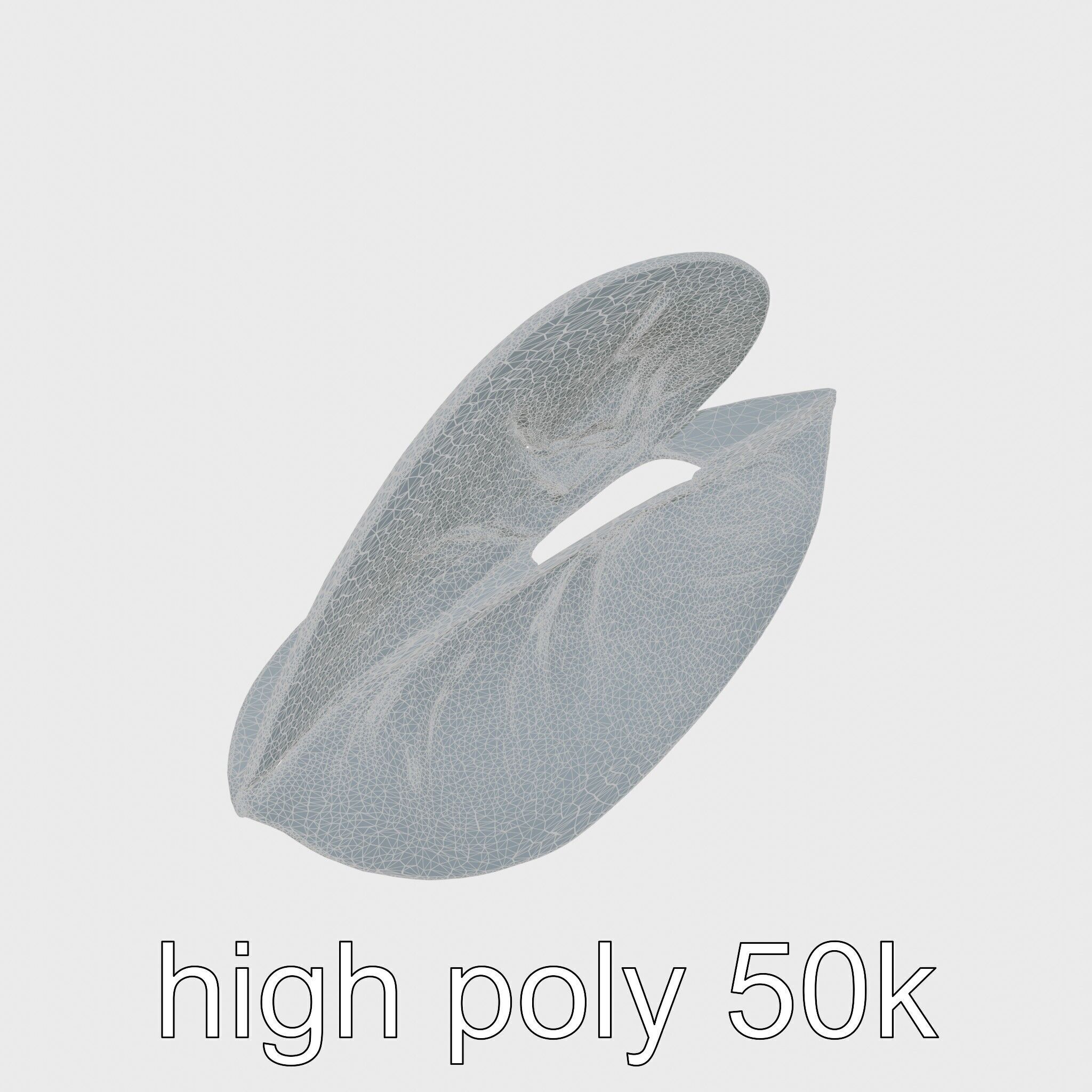 Alocasia Leaf Heart-Shaped 3D Model Pack Low-poly 3D model_25