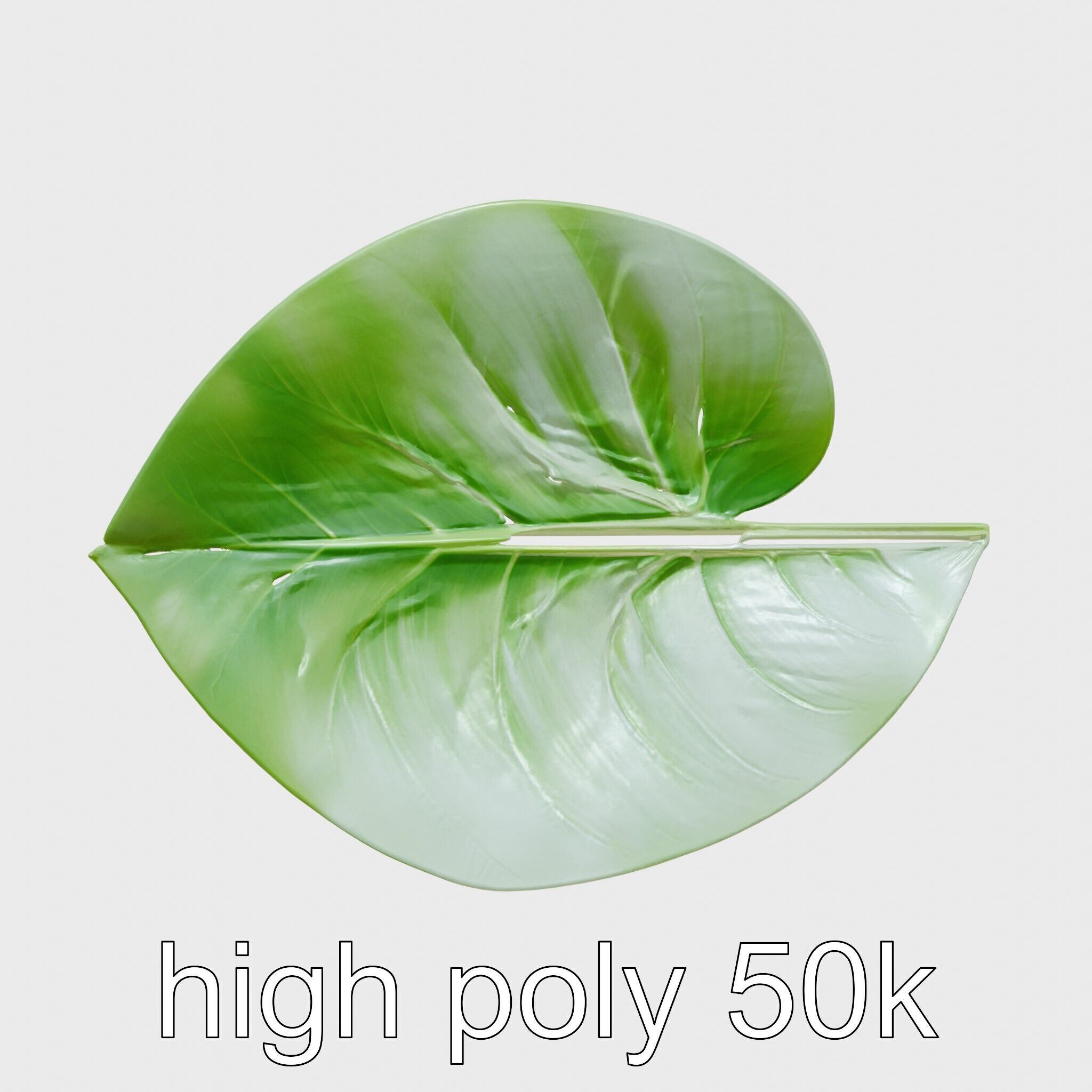 Alocasia Leaf Heart-Shaped 3D Model Pack Low-poly 3D model_28