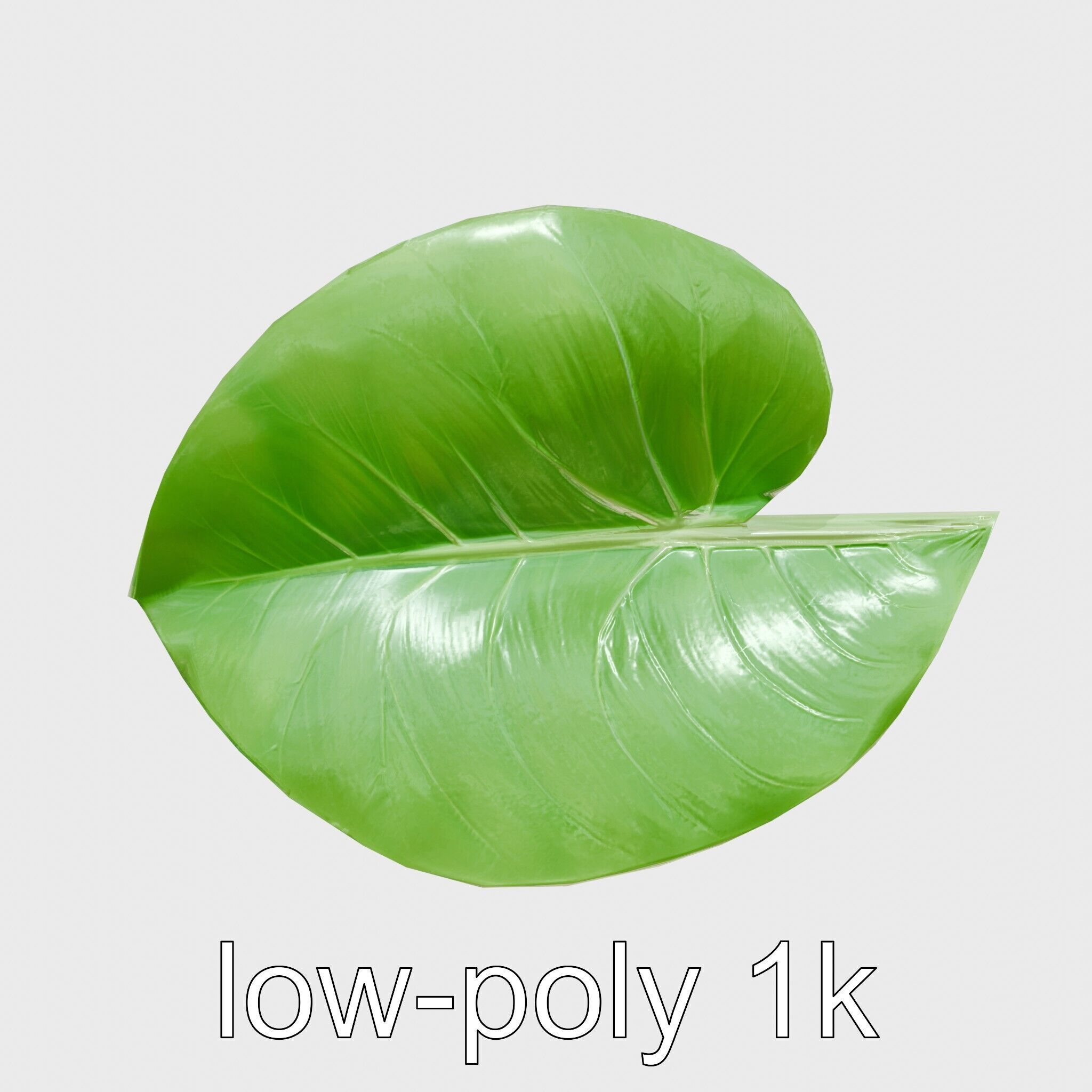 Alocasia Leaf Heart-Shaped 3D Model Pack Low-poly 3D model_7