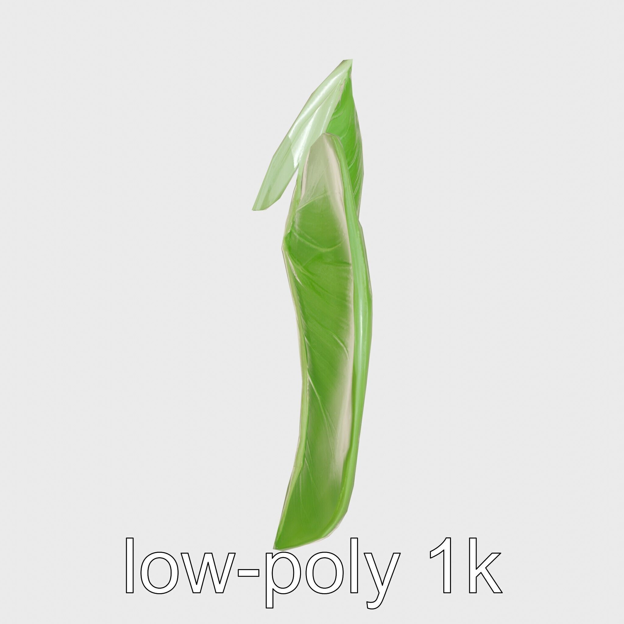 Alocasia Leaf Heart-Shaped 3D Model Pack Low-poly 3D model_13