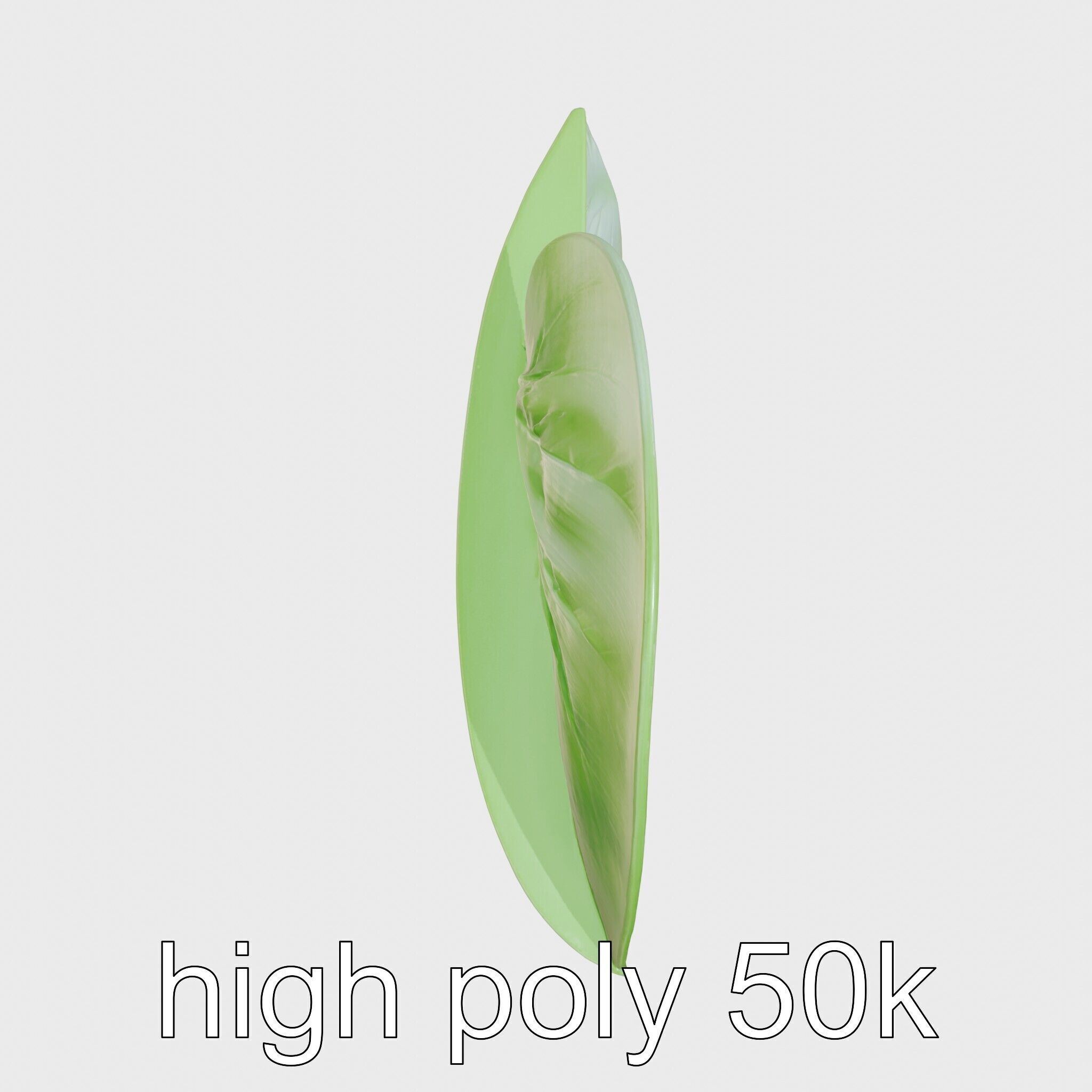 Alocasia Leaf Heart-Shaped 3D Model Pack Low-poly 3D model_5