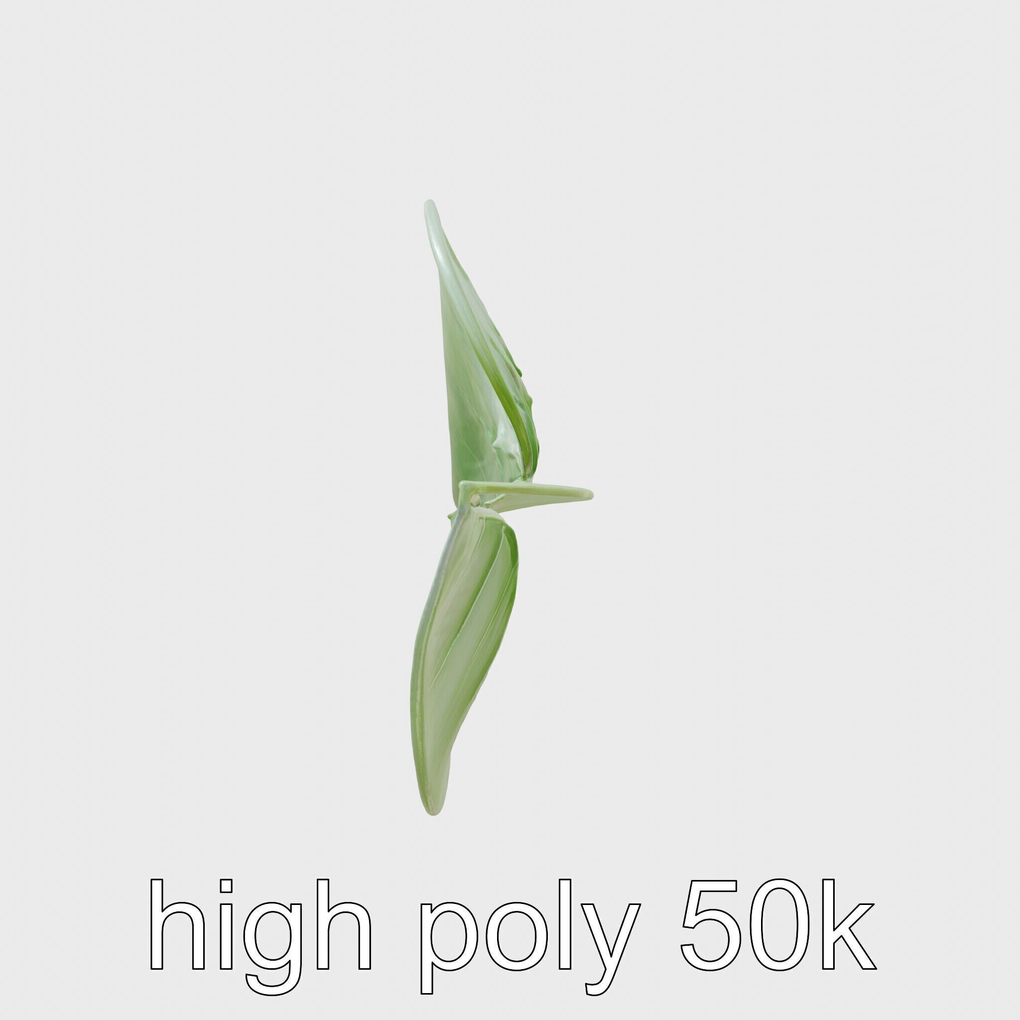 Alocasia Leaf Heart-Shaped 3D Model Pack Low-poly 3D model_11