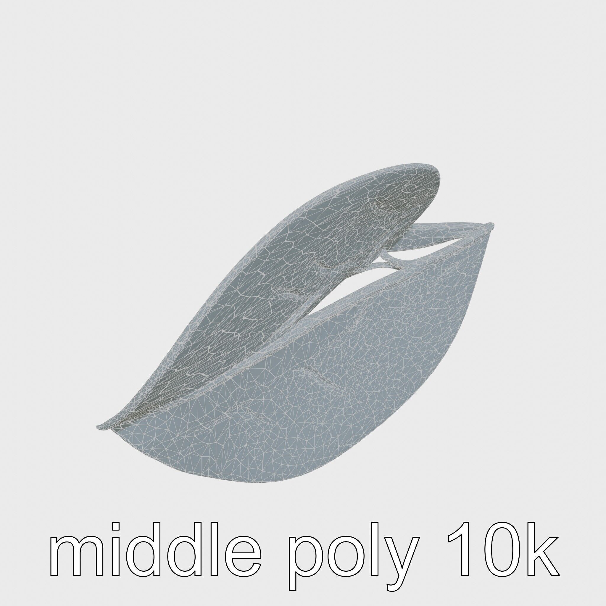 Alocasia Leaf Heart-Shaped 3D Model Pack Low-poly 3D model_30