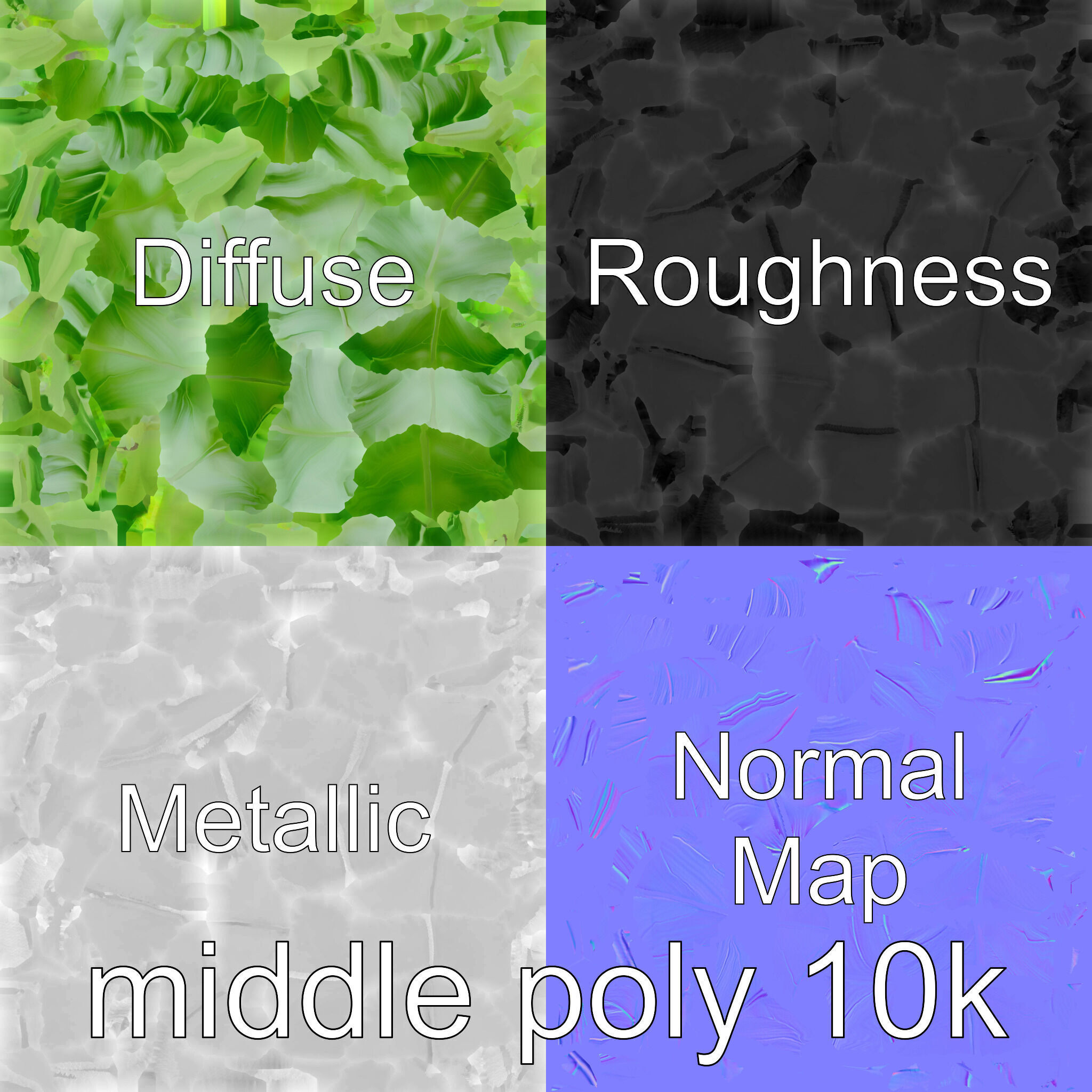 Alocasia Leaf Heart-Shaped 3D Model Pack Low-poly 3D model_31