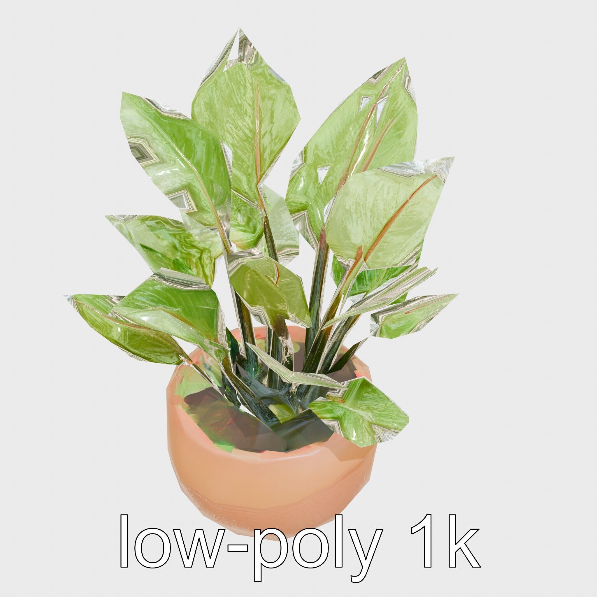 Alocasia Plant in Terracotta Pot model pack Low-poly 3D model_21