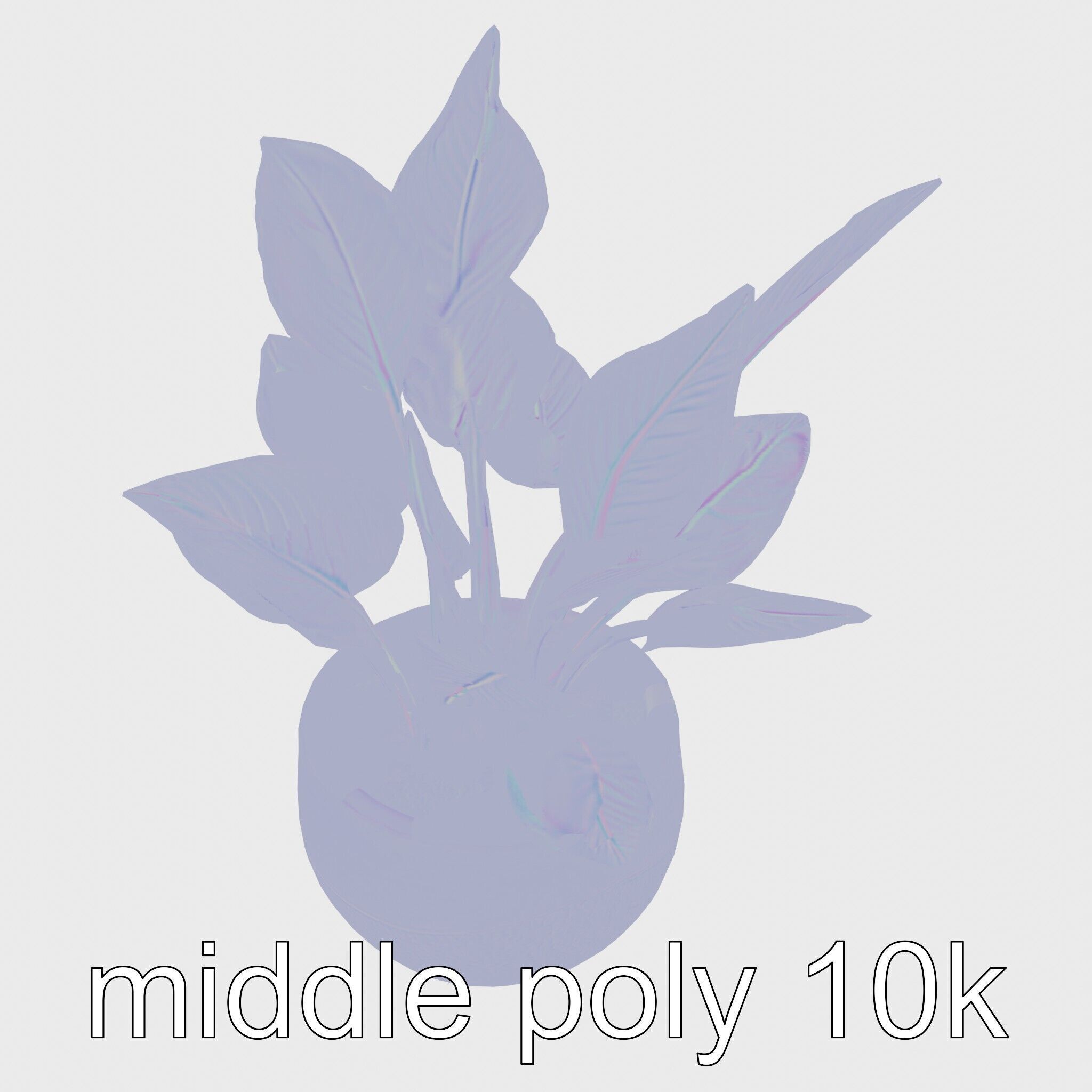 Alocasia Plant in Terracotta Pot model pack Low-poly 3D model_32