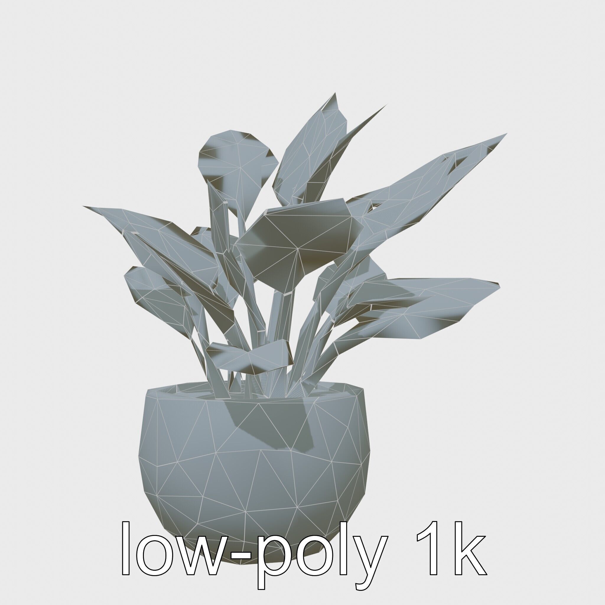 Alocasia Plant in Terracotta Pot model pack Low-poly 3D model_23