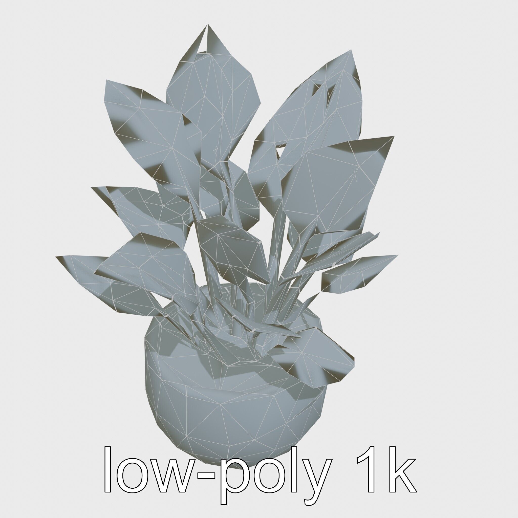 Alocasia Plant in Terracotta Pot model pack Low-poly 3D model_17