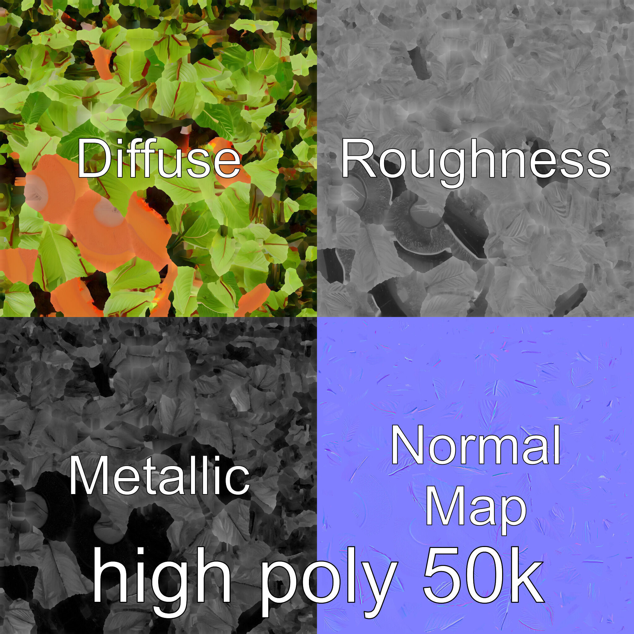 Alocasia Plant in Terracotta Pot model pack Low-poly 3D model_28