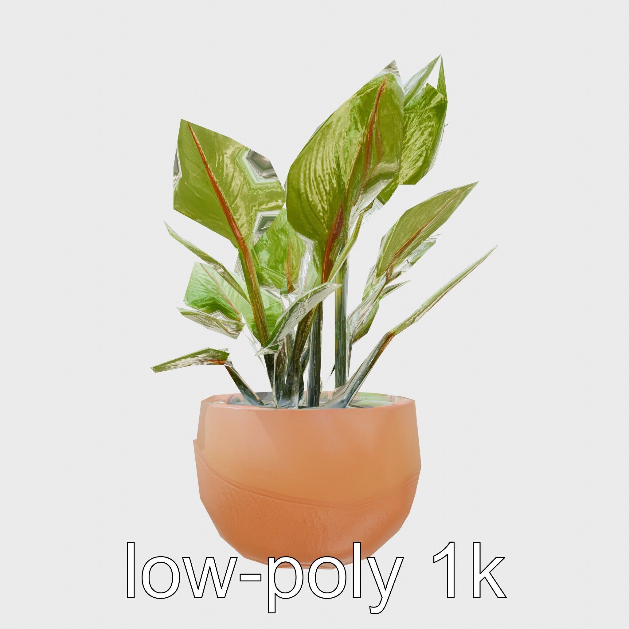 Alocasia Plant in Terracotta Pot model pack Low-poly 3D model_7