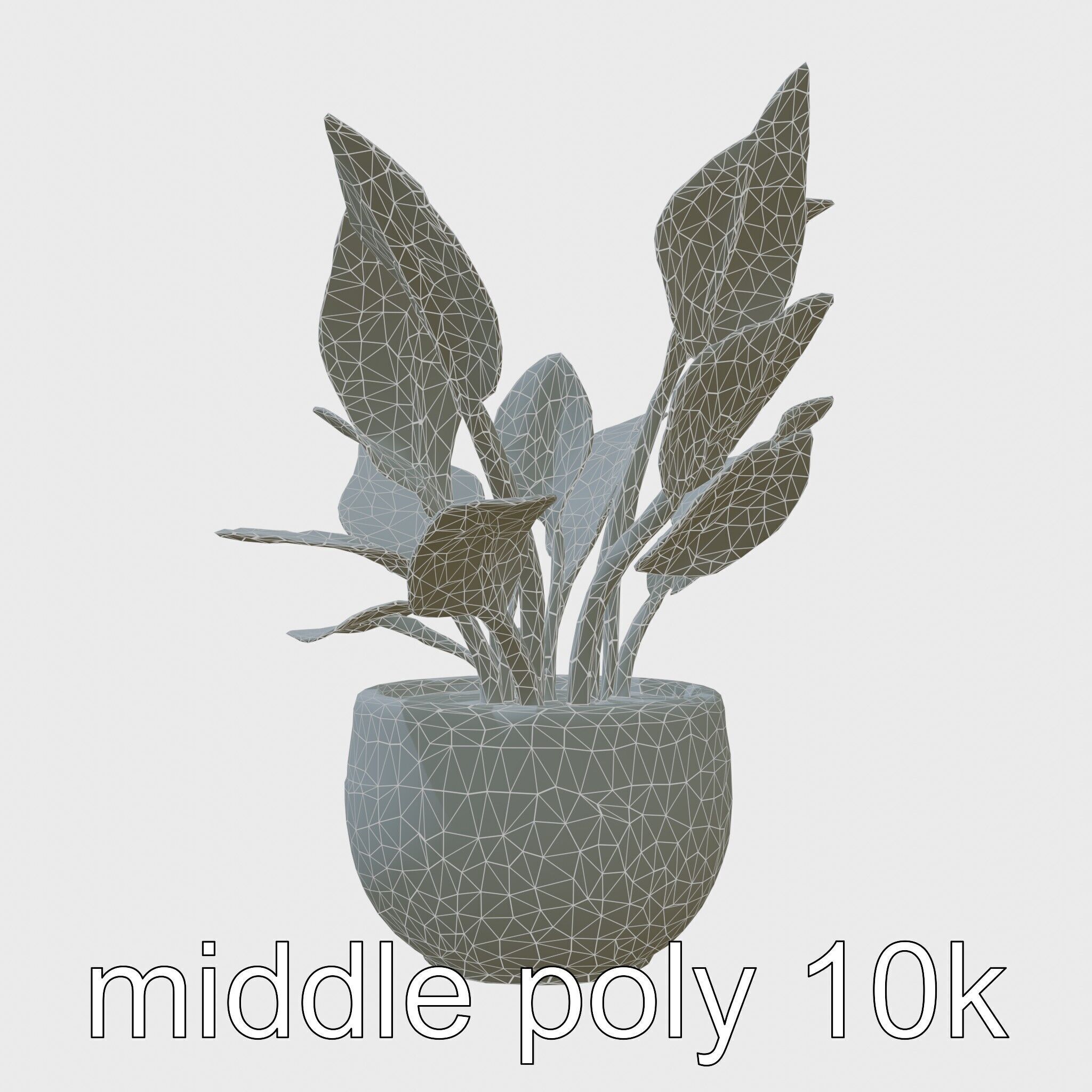 Alocasia Plant in Terracotta Pot model pack Low-poly 3D model_9
