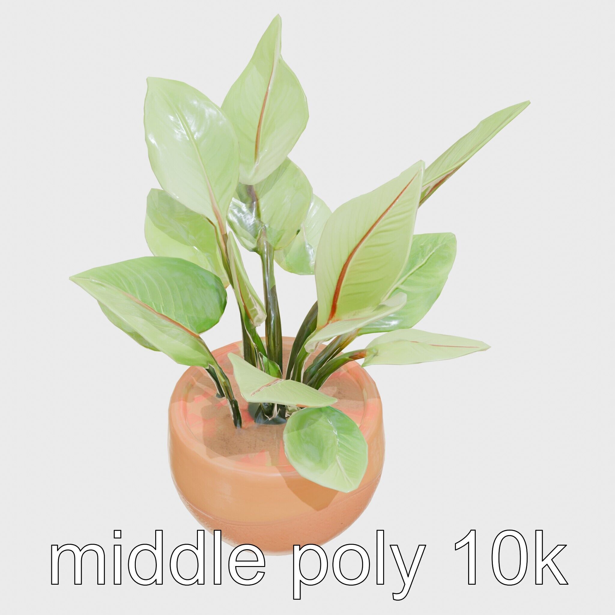 Alocasia Plant in Terracotta Pot model pack Low-poly 3D model_12