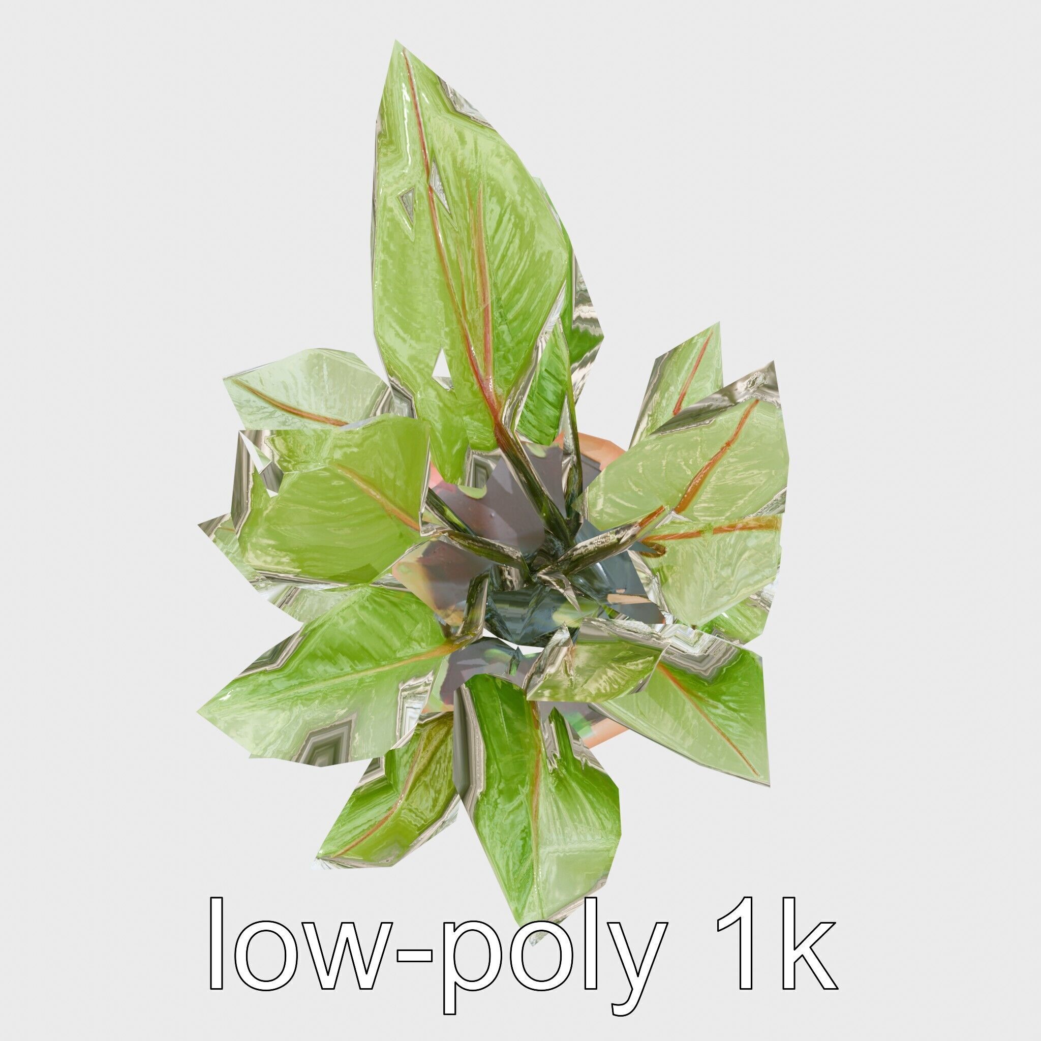 Alocasia Plant in Terracotta Pot model pack Low-poly 3D model_24