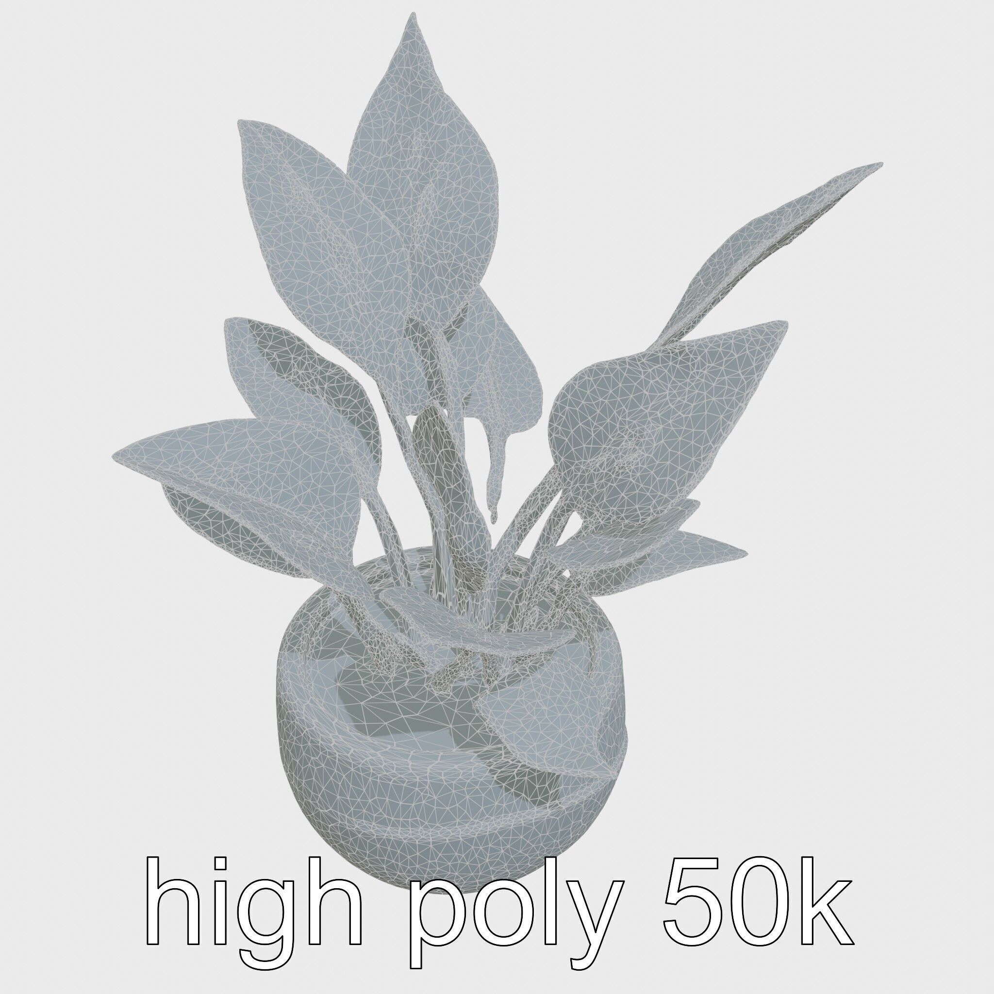 Alocasia Plant in Terracotta Pot model pack Low-poly 3D model_31