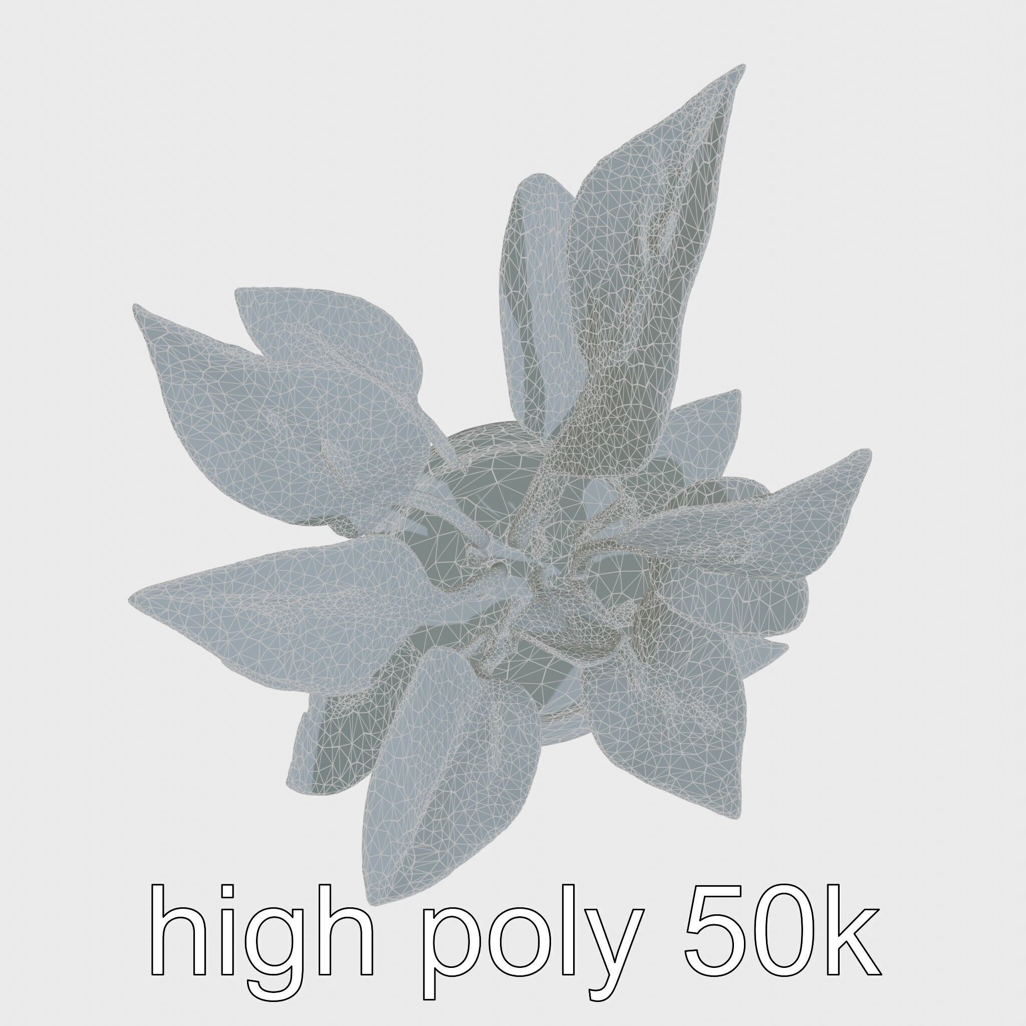 Alocasia Plant in Terracotta Pot model pack Low-poly 3D model_22