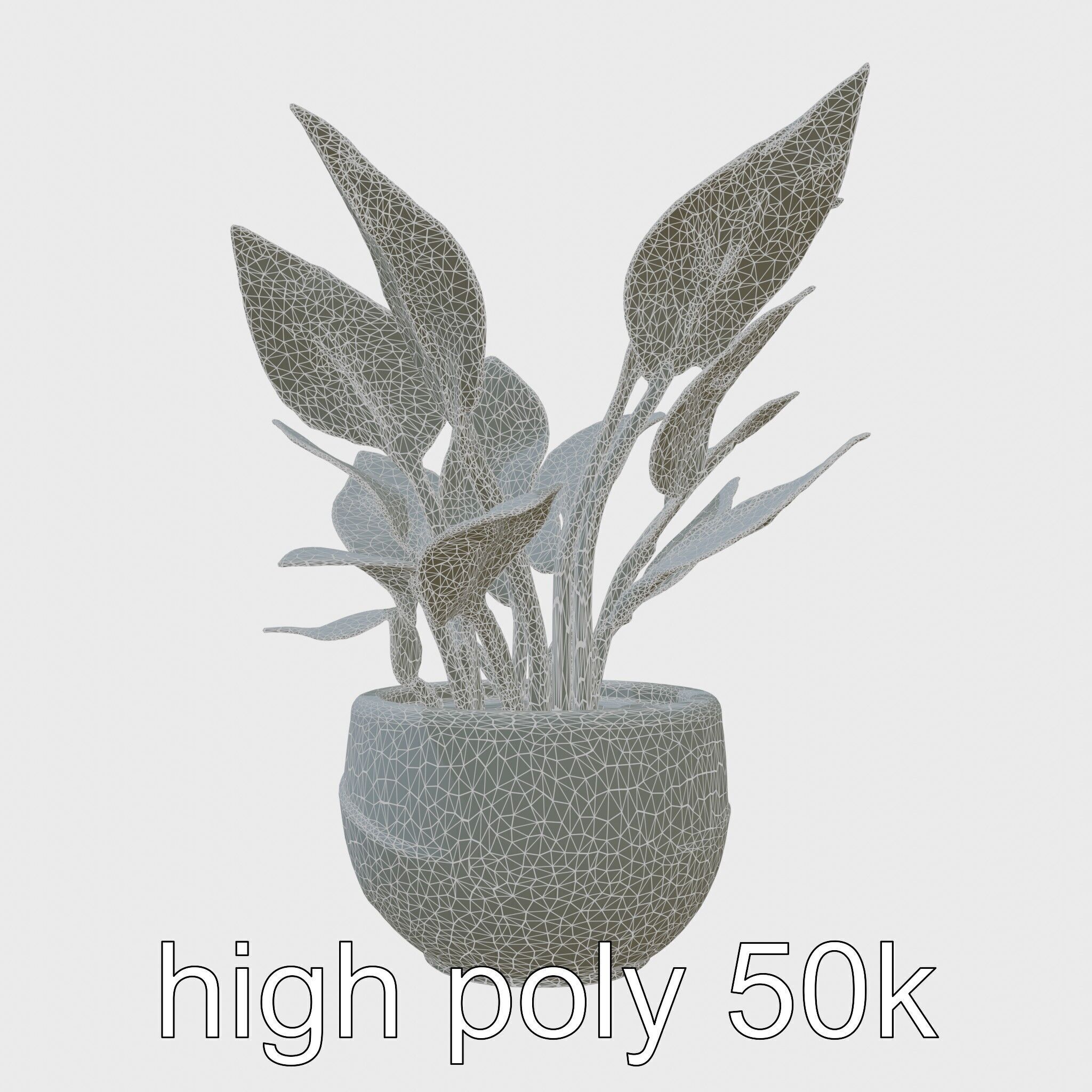 Alocasia Plant in Terracotta Pot model pack Low-poly 3D model_8