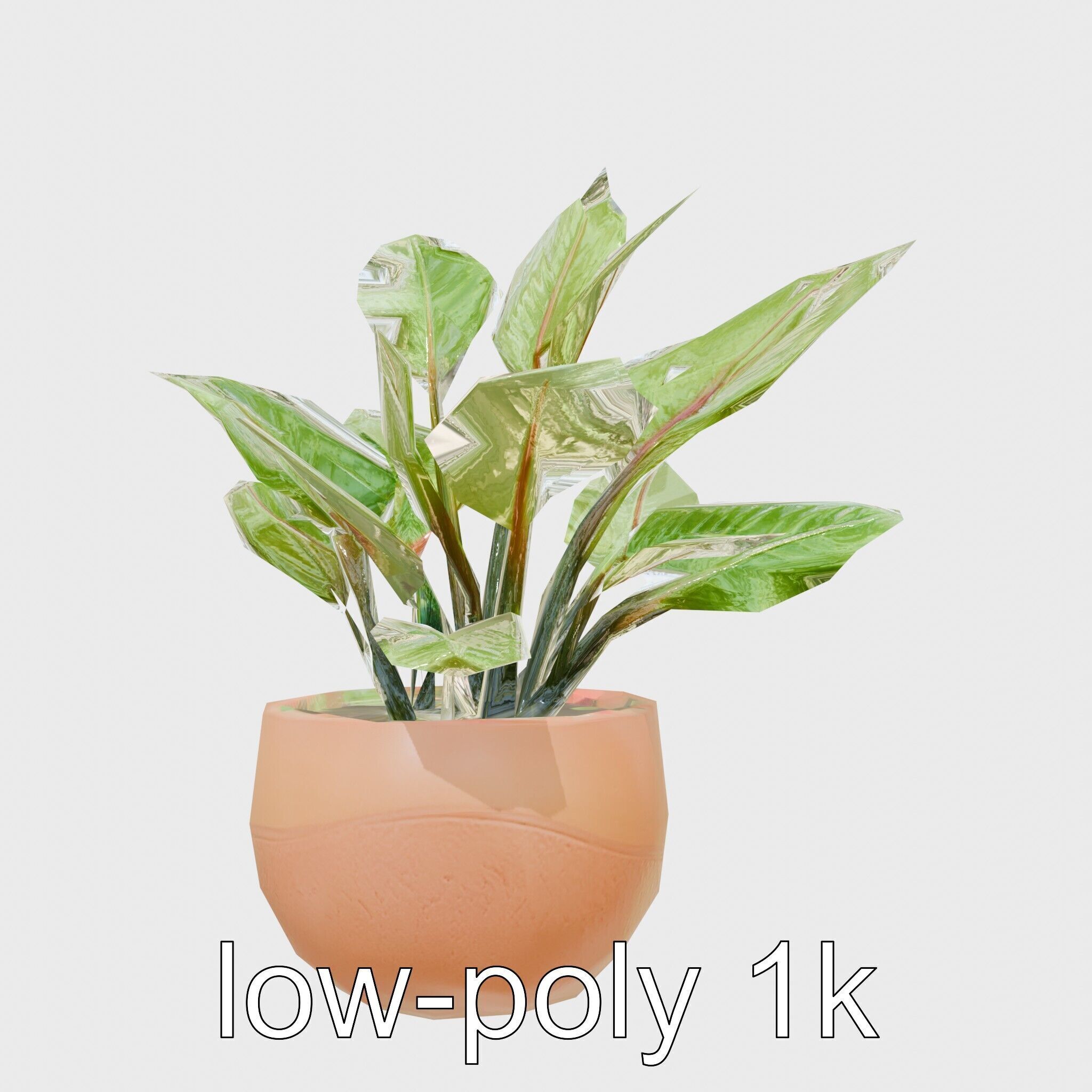 Alocasia Plant in Terracotta Pot model pack Low-poly 3D model_14
