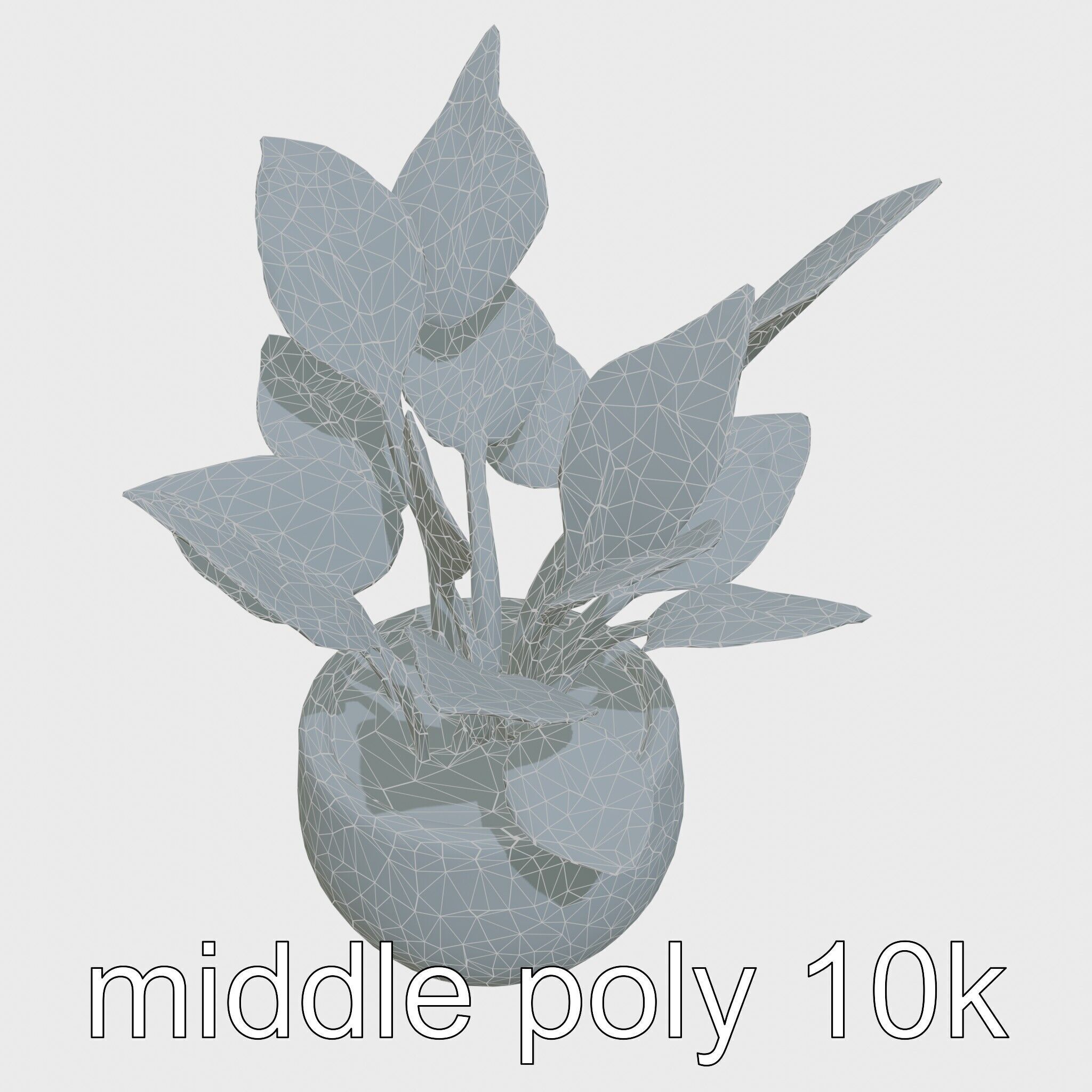 Alocasia Plant in Terracotta Pot model pack Low-poly 3D model_13