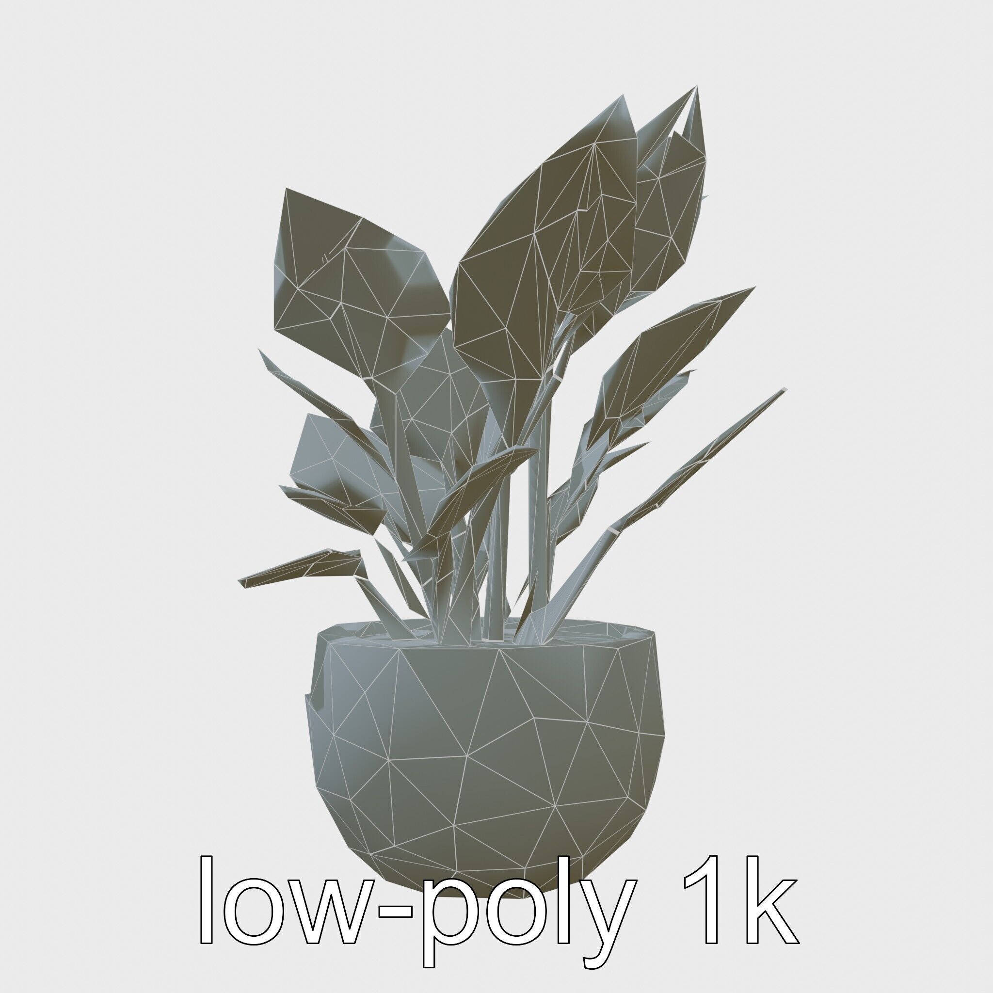 Alocasia Plant in Terracotta Pot model pack Low-poly 3D model_10