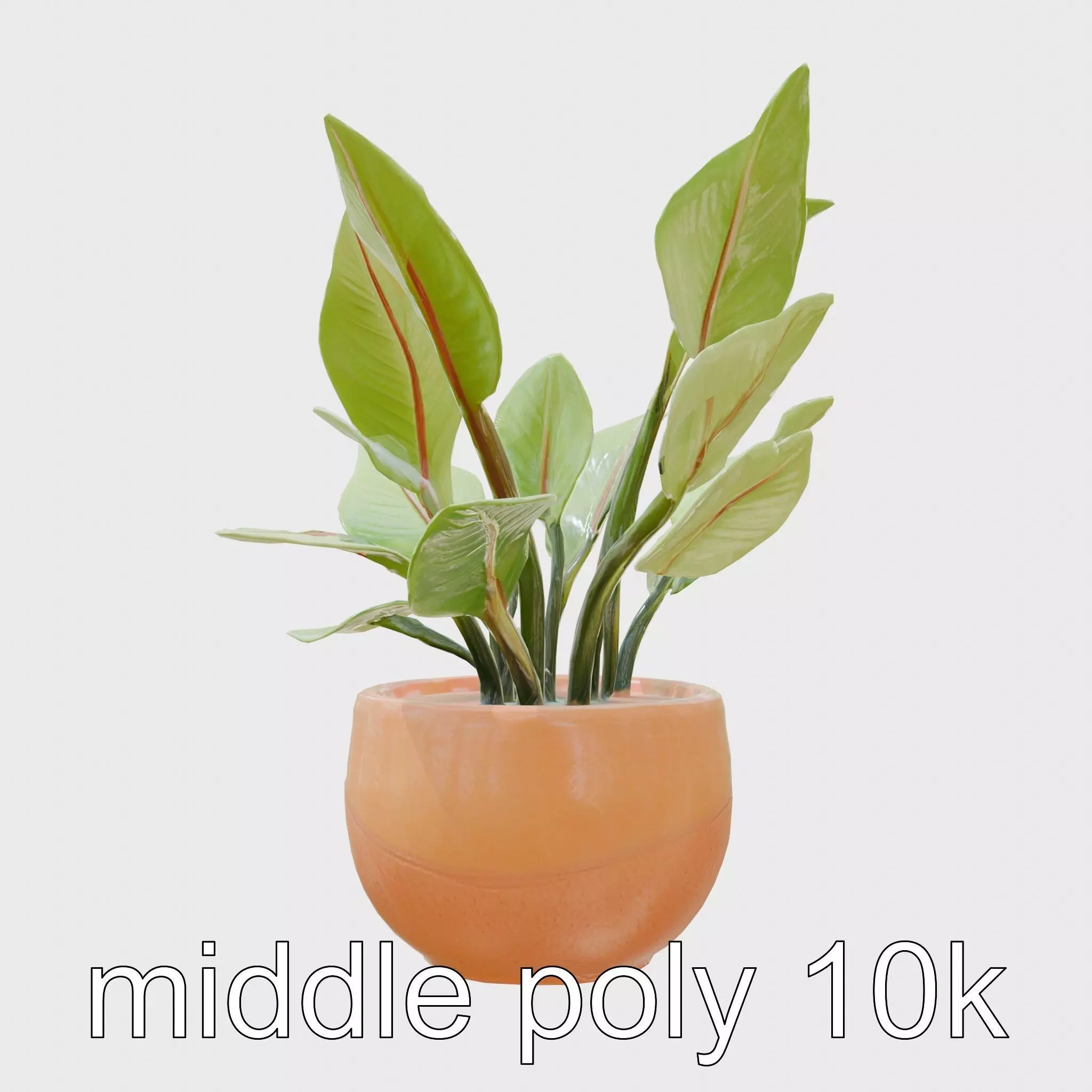 Alocasia Plant in Terracotta Pot model pack Low-poly 3D model_0