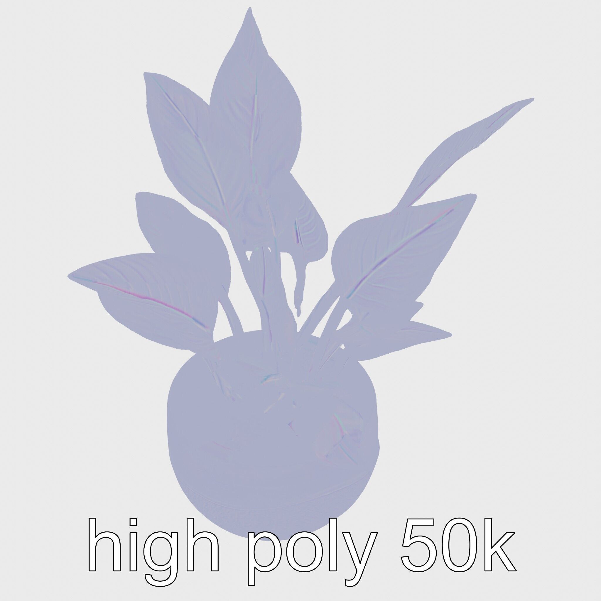 Alocasia Plant in Terracotta Pot model pack Low-poly 3D model_20