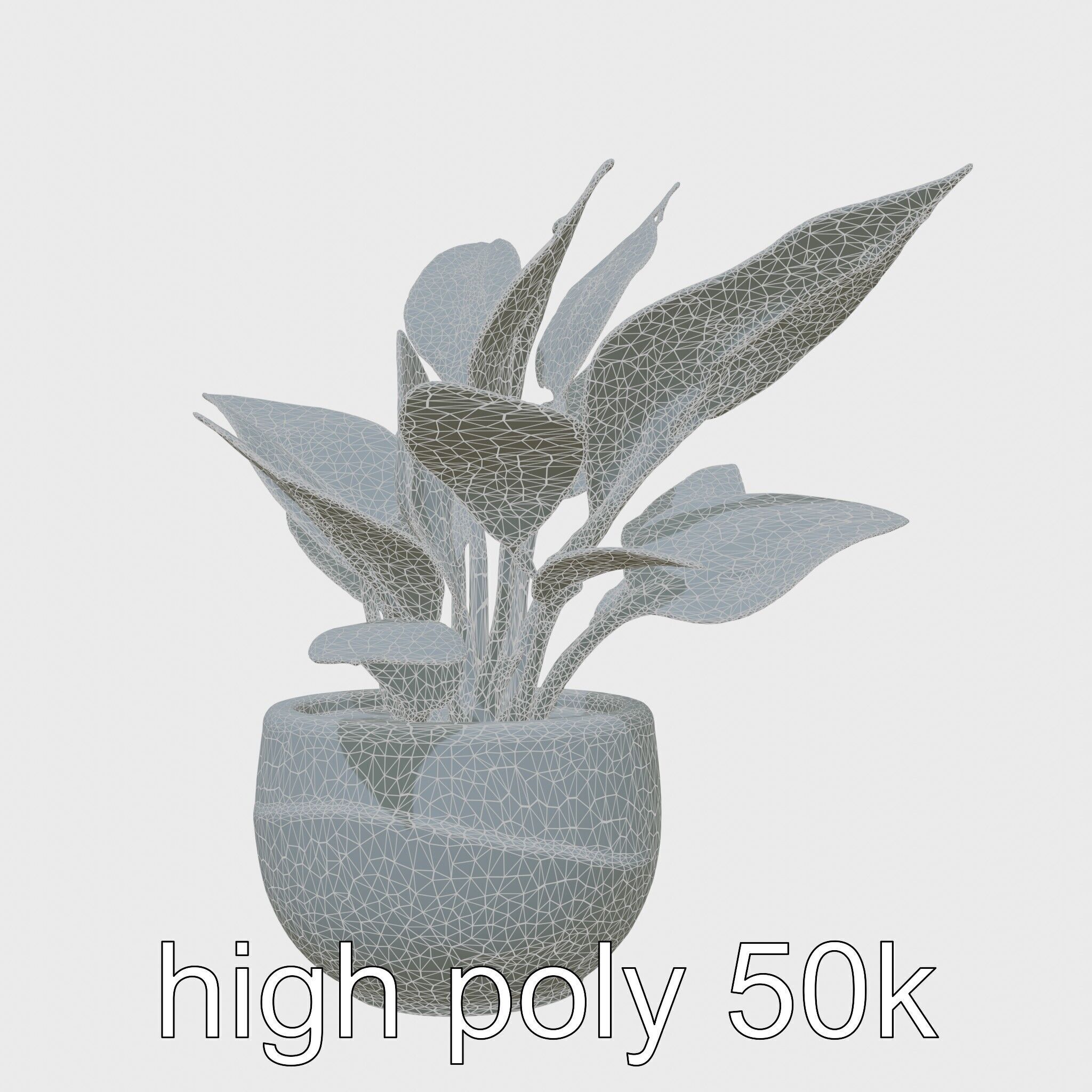 Alocasia Plant in Terracotta Pot model pack Low-poly 3D model_29