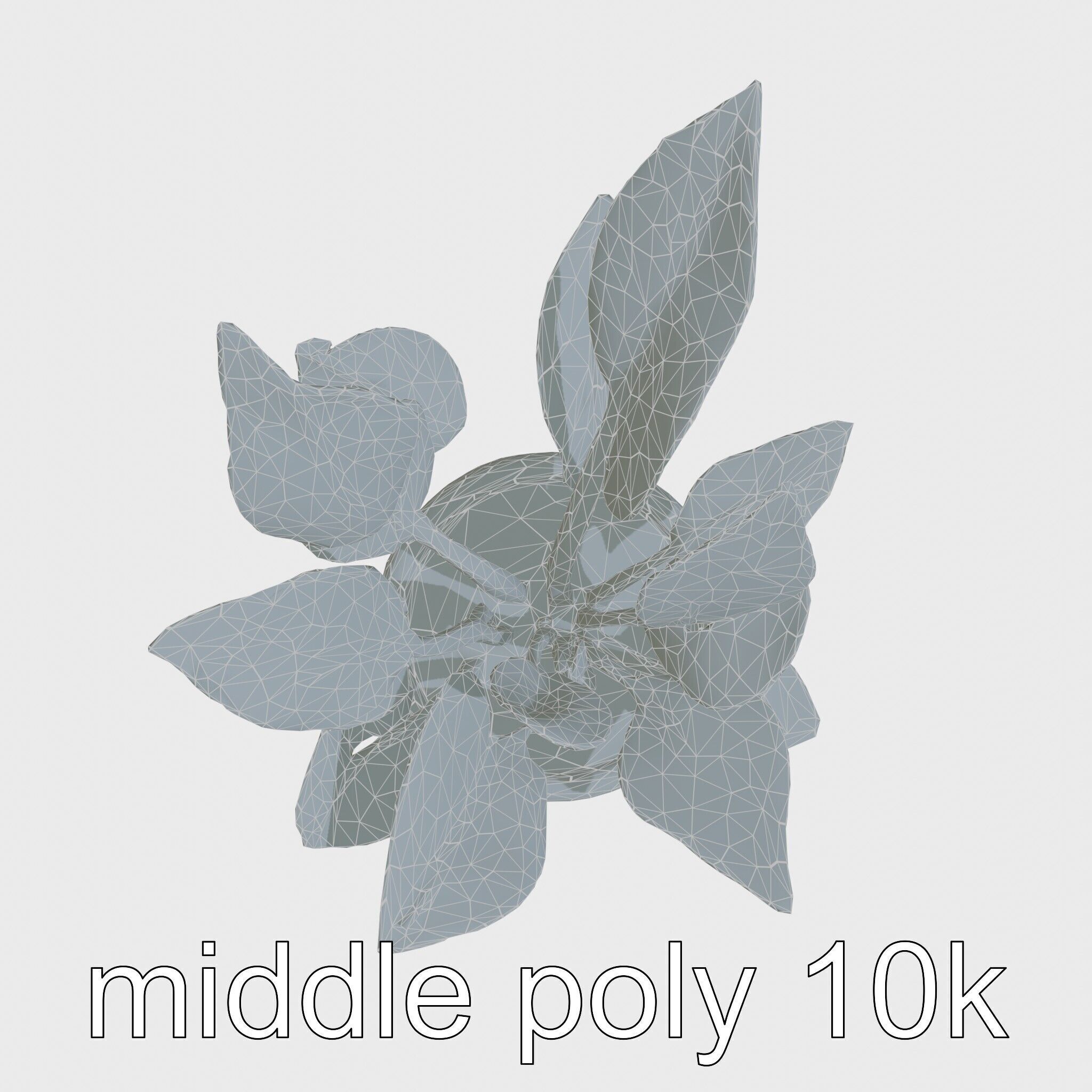 Alocasia Plant in Terracotta Pot model pack Low-poly 3D model_30