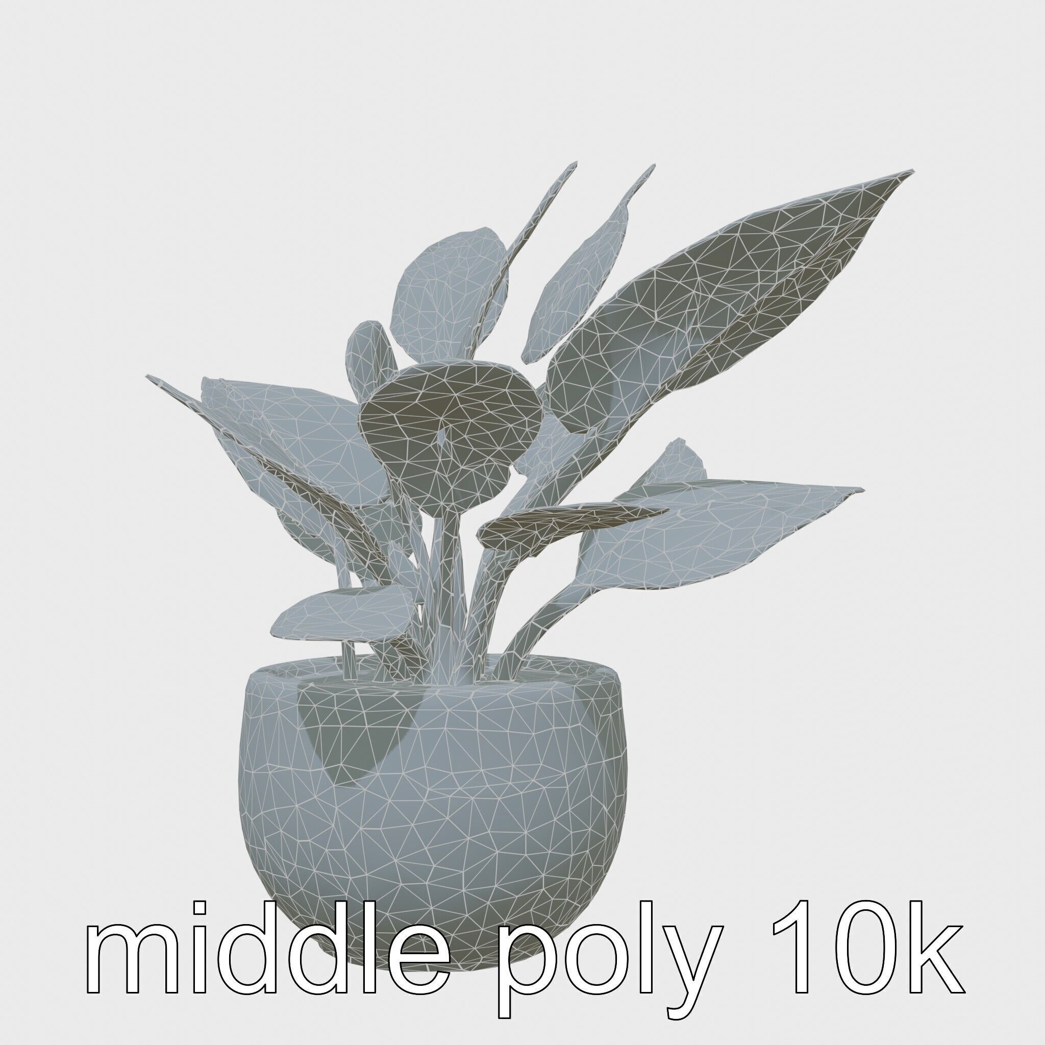 Alocasia Plant in Terracotta Pot model pack Low-poly 3D model_27