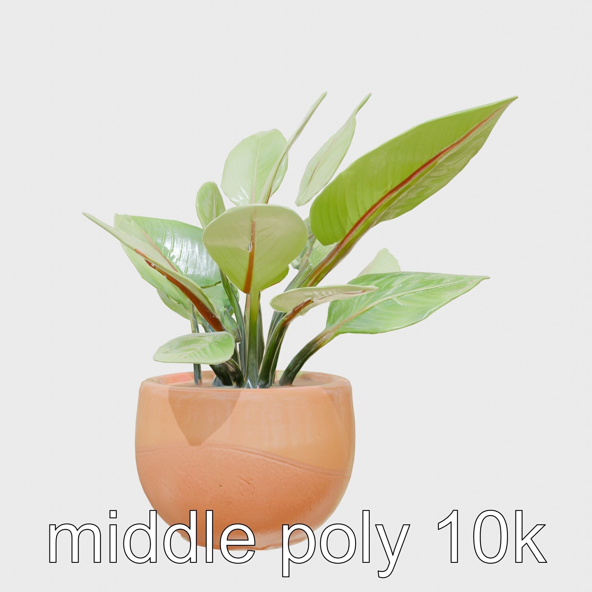 Alocasia Plant in Terracotta Pot model pack Low-poly 3D model_25