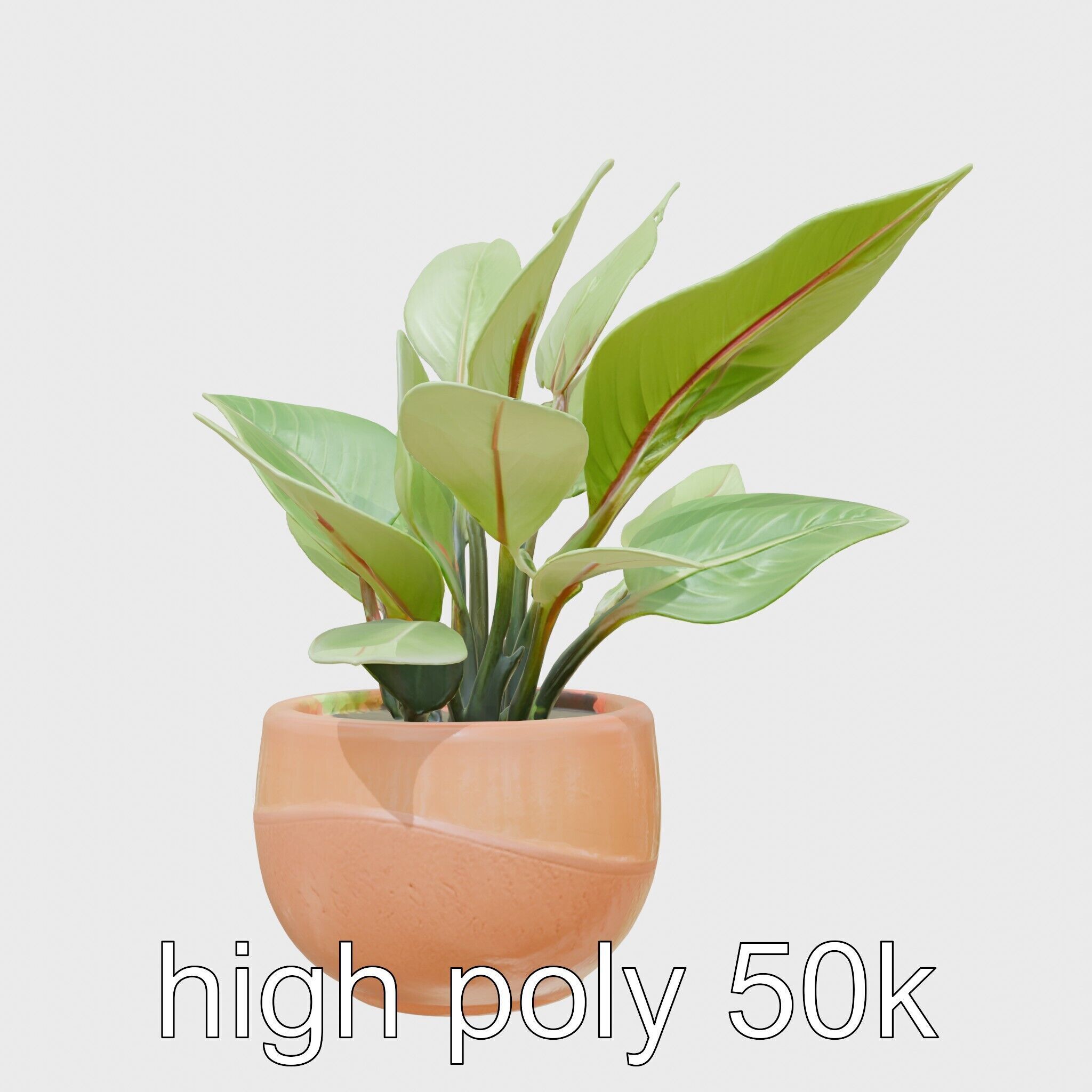 Alocasia Plant in Terracotta Pot model pack Low-poly 3D model_19
