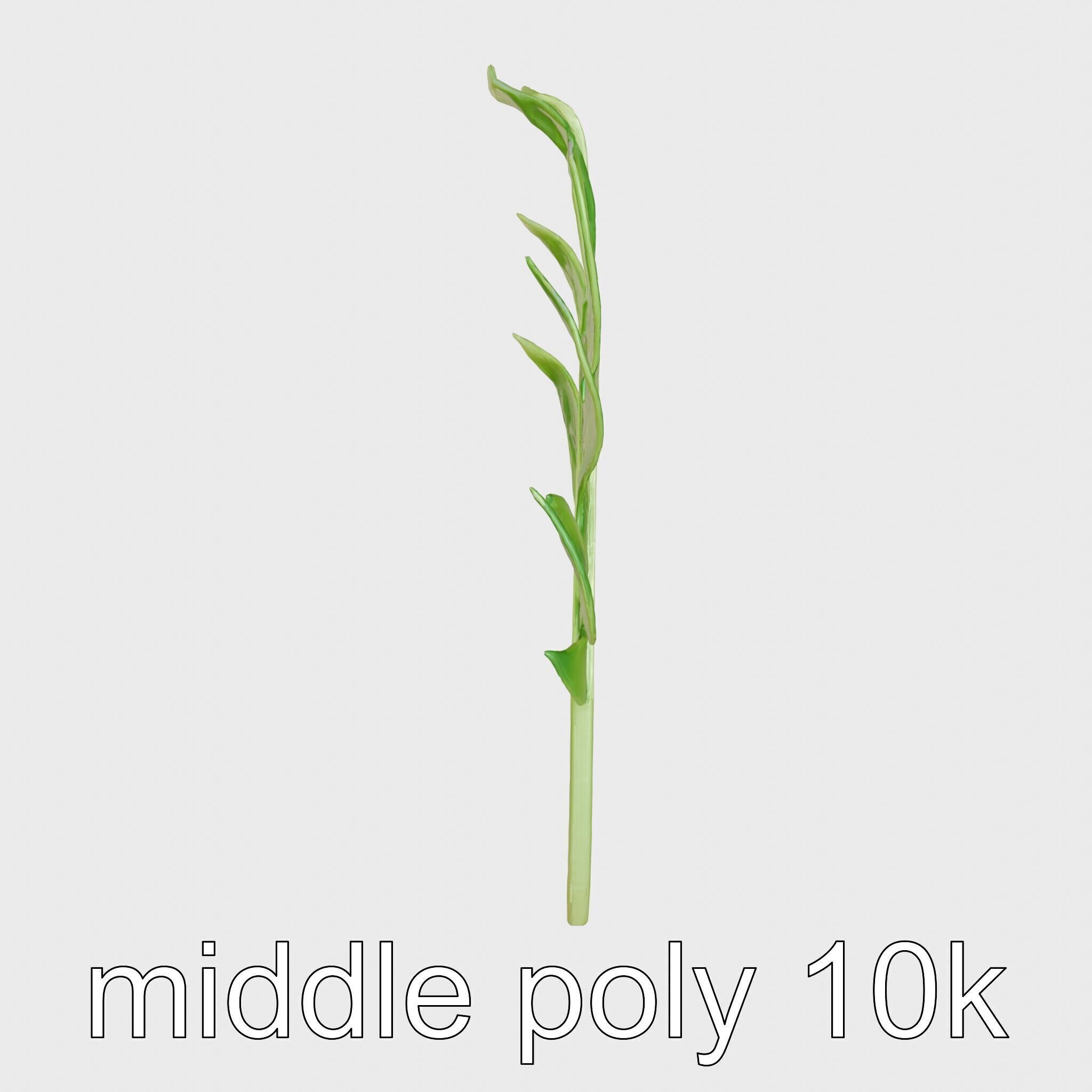 Stylized Monstera Leaf Model Pack for Playful Environments Low-poly 3D model_17