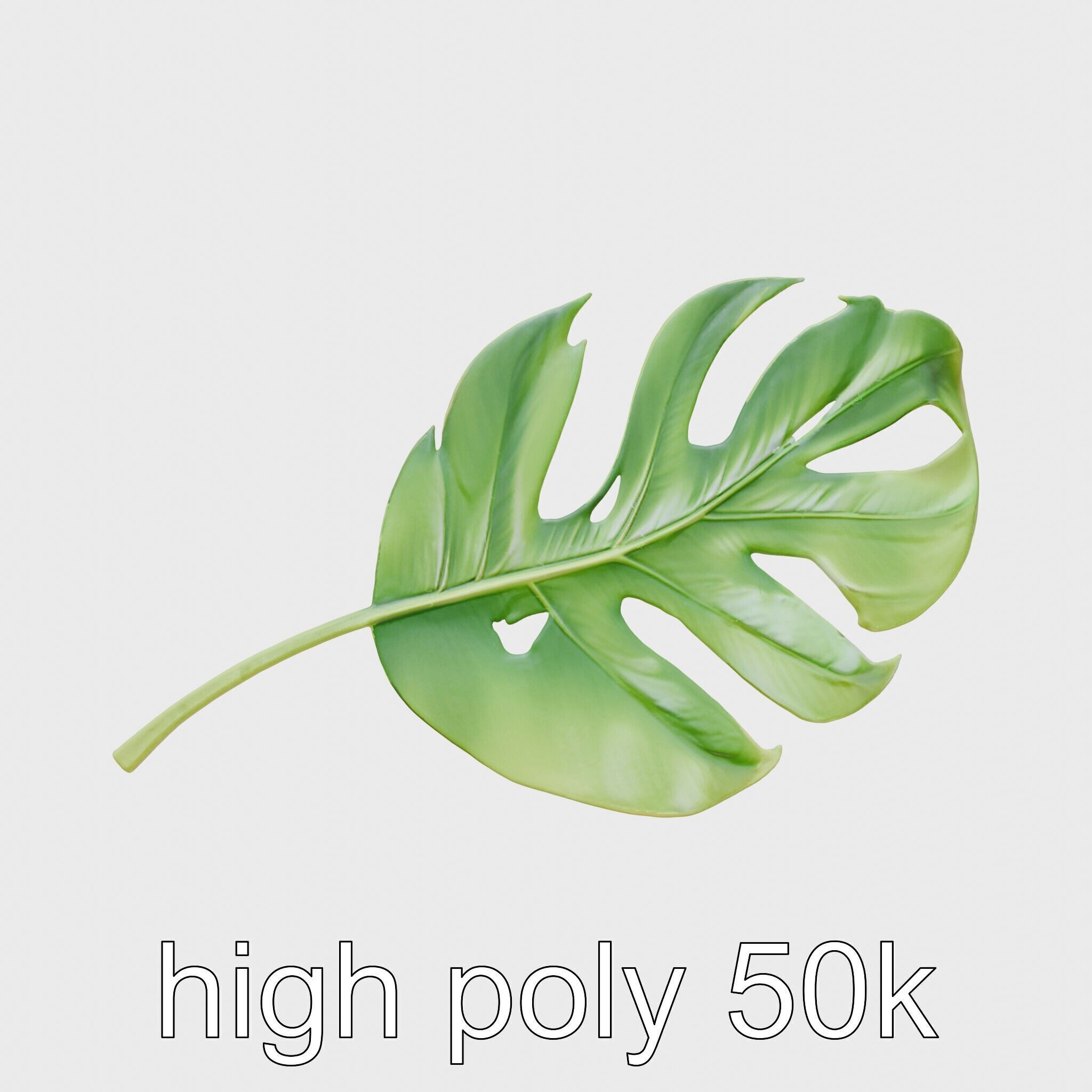 Stylized Monstera Leaf Model Pack for Playful Environments Low-poly 3D model_20