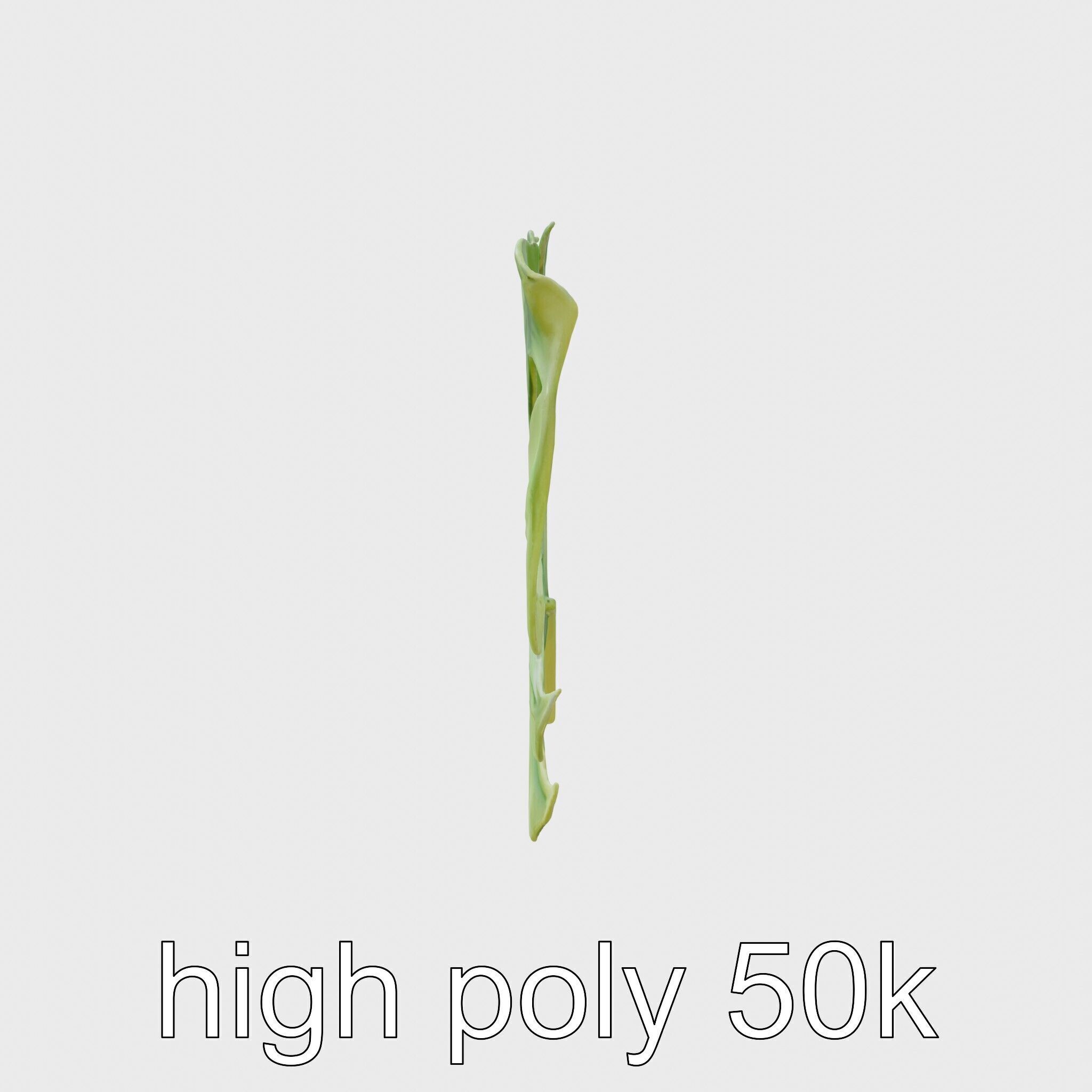 Stylized Monstera Leaf Model Pack for Playful Environments Low-poly 3D model_5