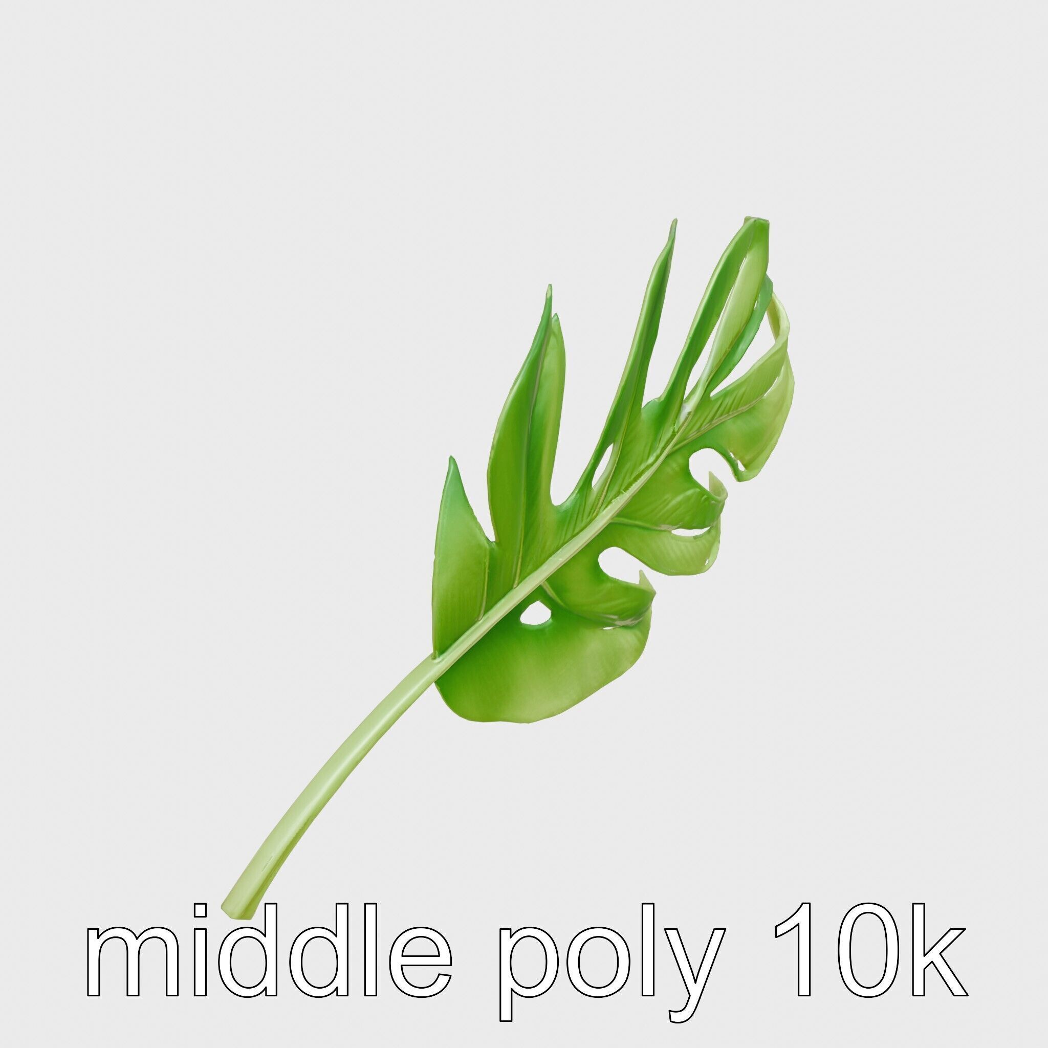 Stylized Monstera Leaf Model Pack for Playful Environments Low-poly 3D model_12