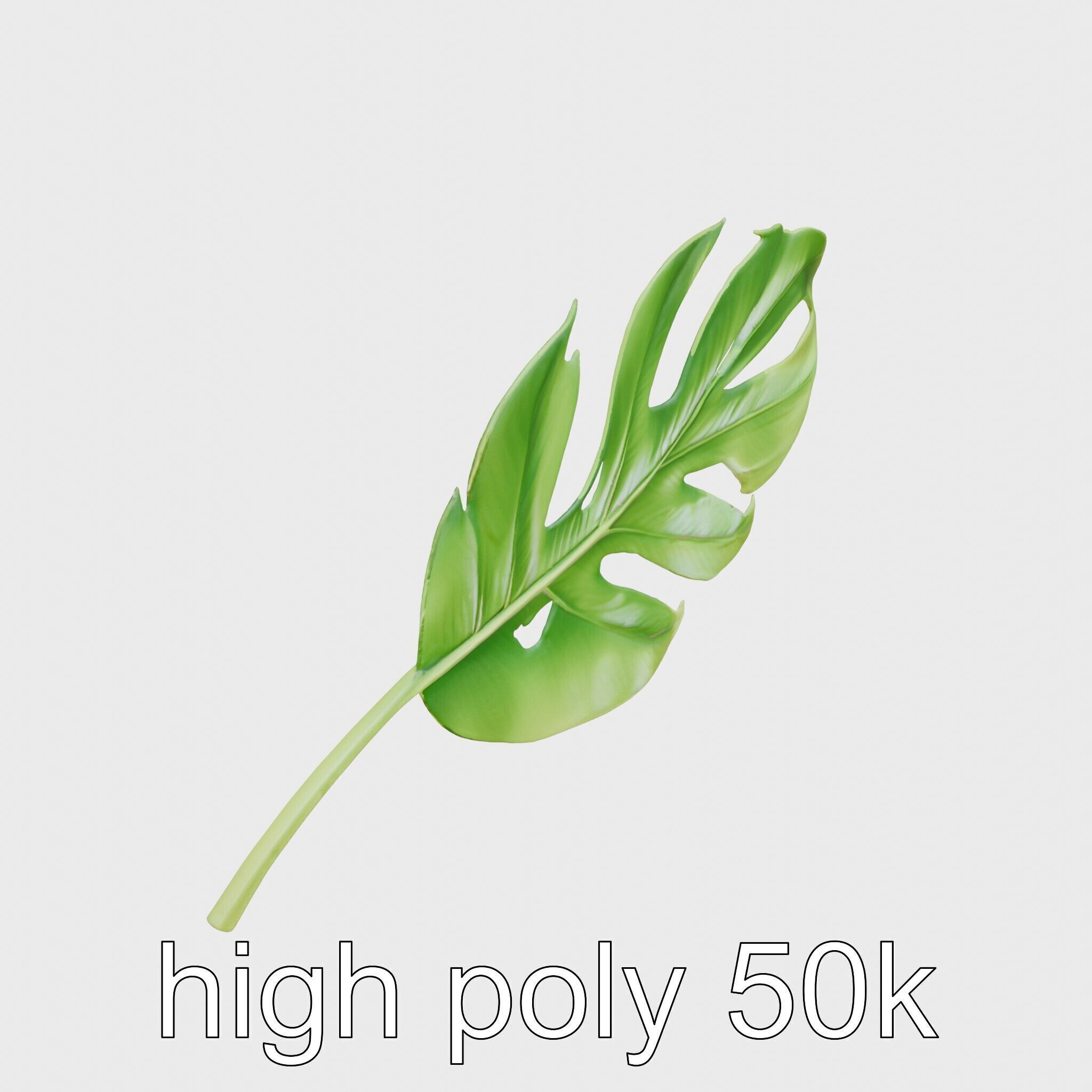 Stylized Monstera Leaf Model Pack for Playful Environments Low-poly 3D model_11
