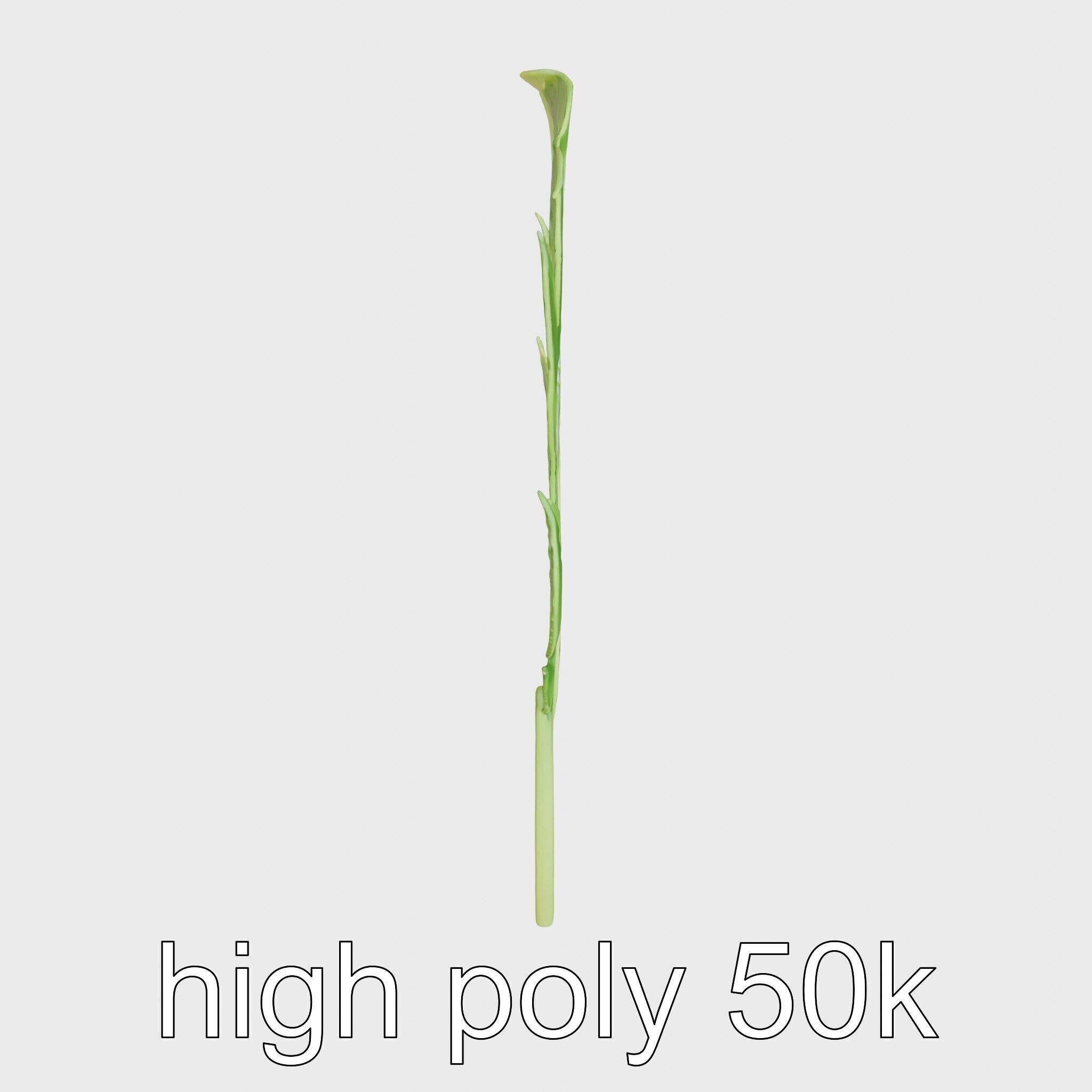 Stylized Monstera Leaf Model Pack for Playful Environments Low-poly 3D model_28