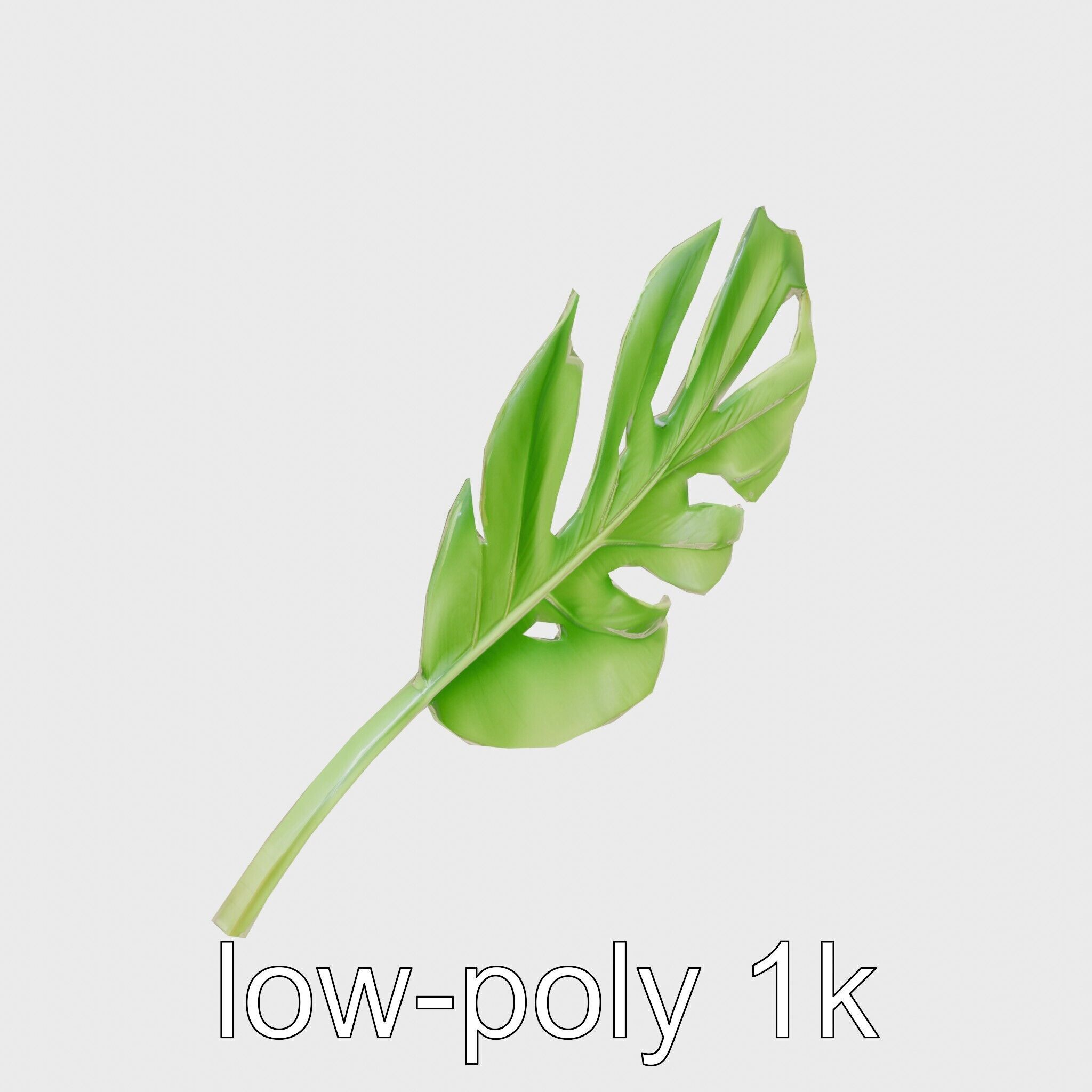 Stylized Monstera Leaf Model Pack for Playful Environments Low-poly 3D model_14