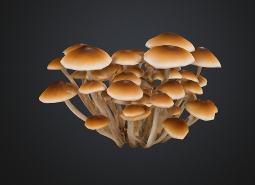 Cluster Mushroom 3D model_1
