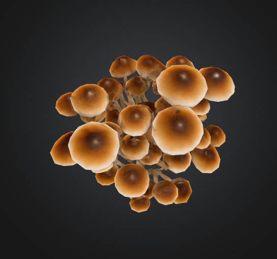 Cluster Mushroom 3D model_3