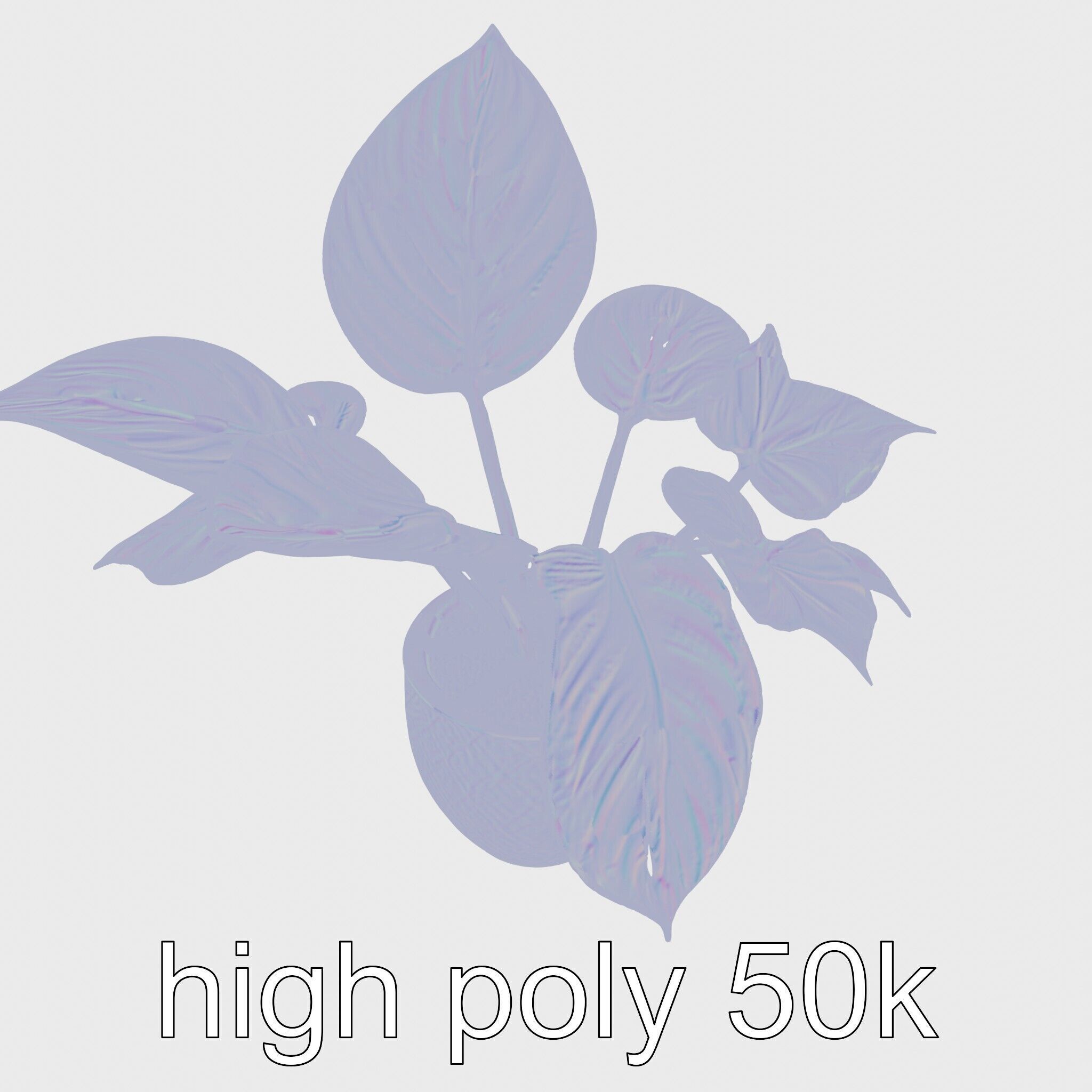 Potted Alocasia Luxurious Decorative model pack Low-poly 3D model_19