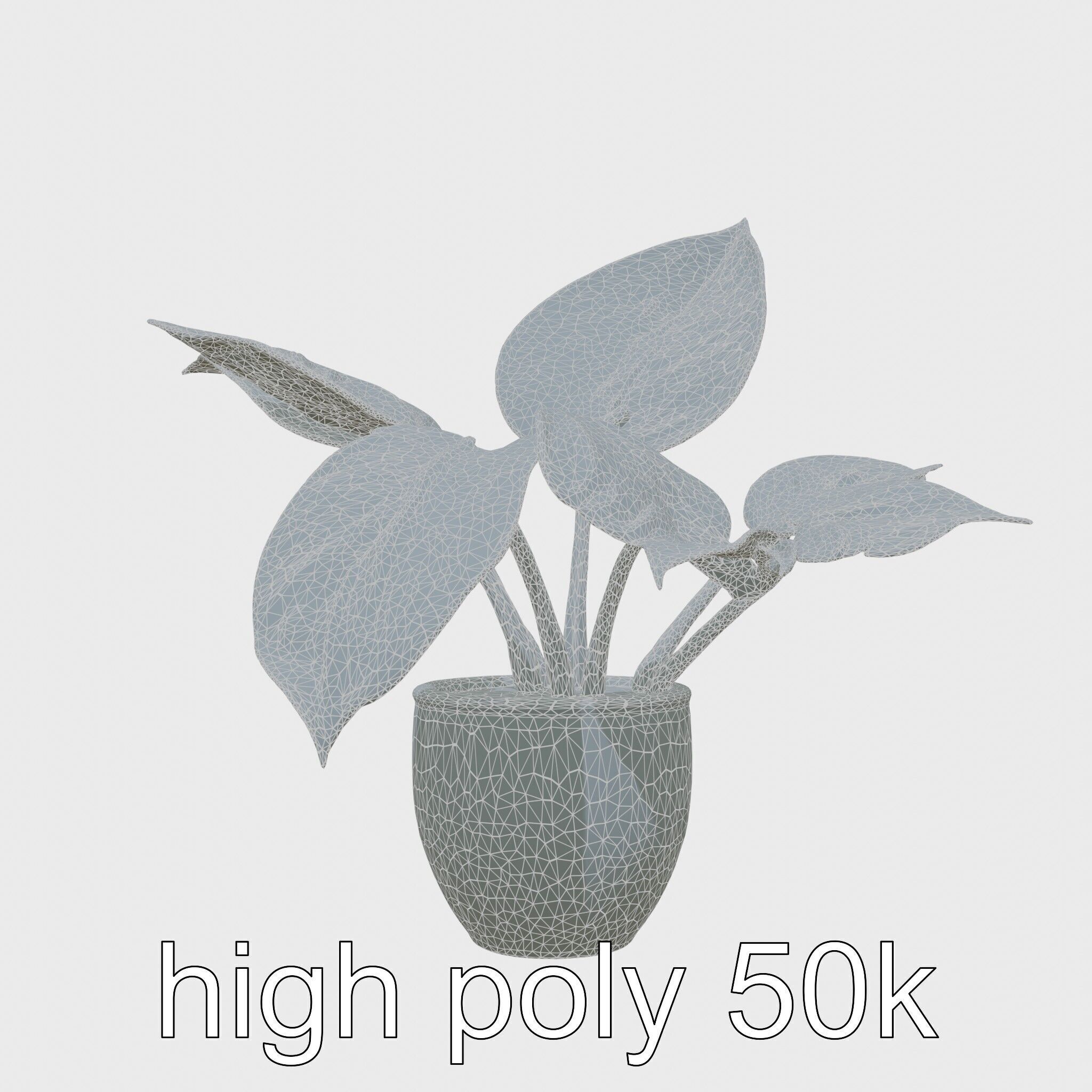 Potted Alocasia Luxurious Decorative model pack Low-poly 3D model_8