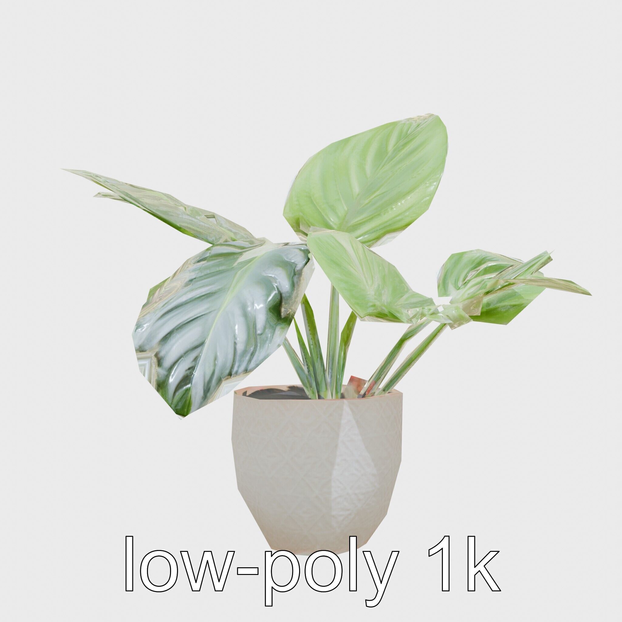 Potted Alocasia Luxurious Decorative model pack Low-poly 3D model_14