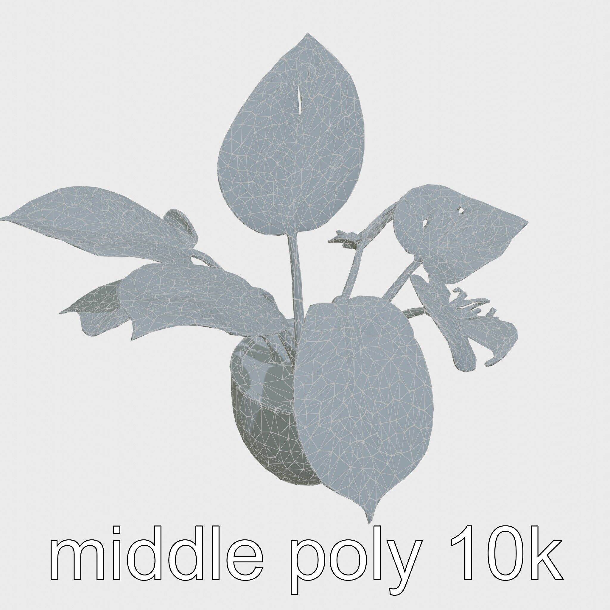 Potted Alocasia Luxurious Decorative model pack Low-poly 3D model_17