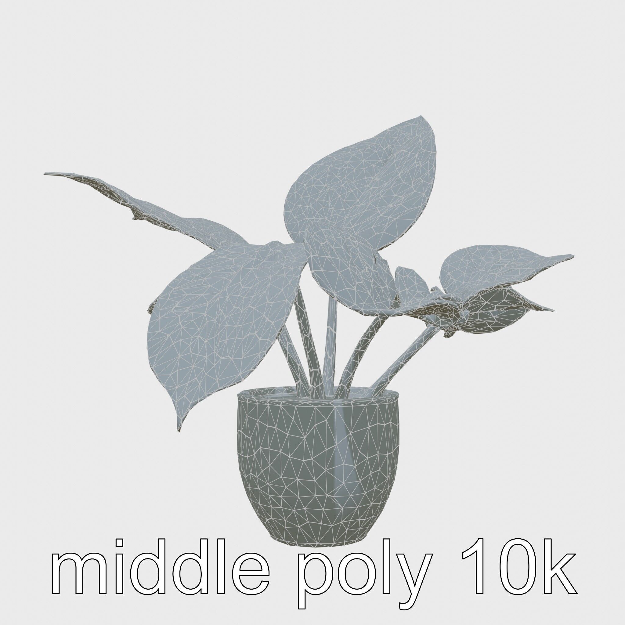 Potted Alocasia Luxurious Decorative model pack Low-poly 3D model_20