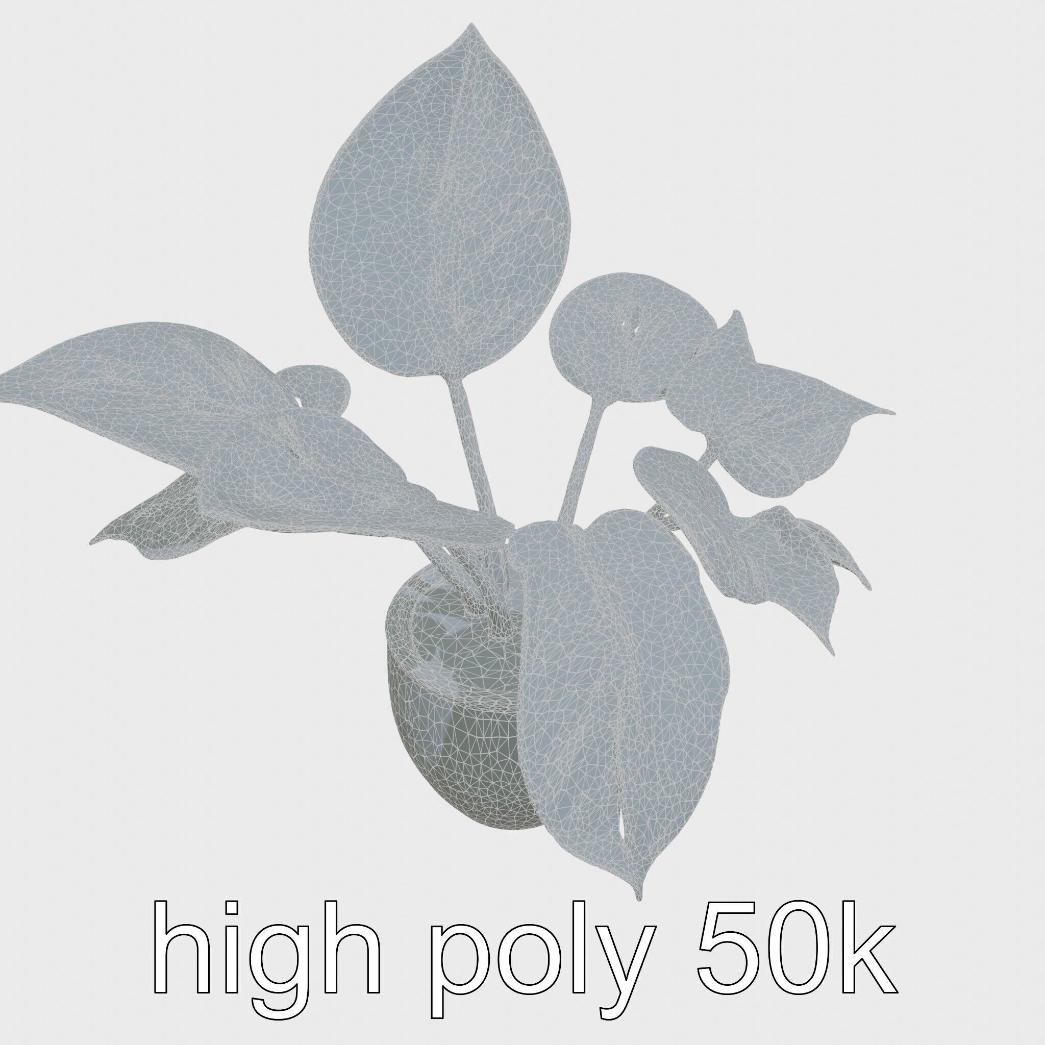 Potted Alocasia Luxurious Decorative model pack Low-poly 3D model_31