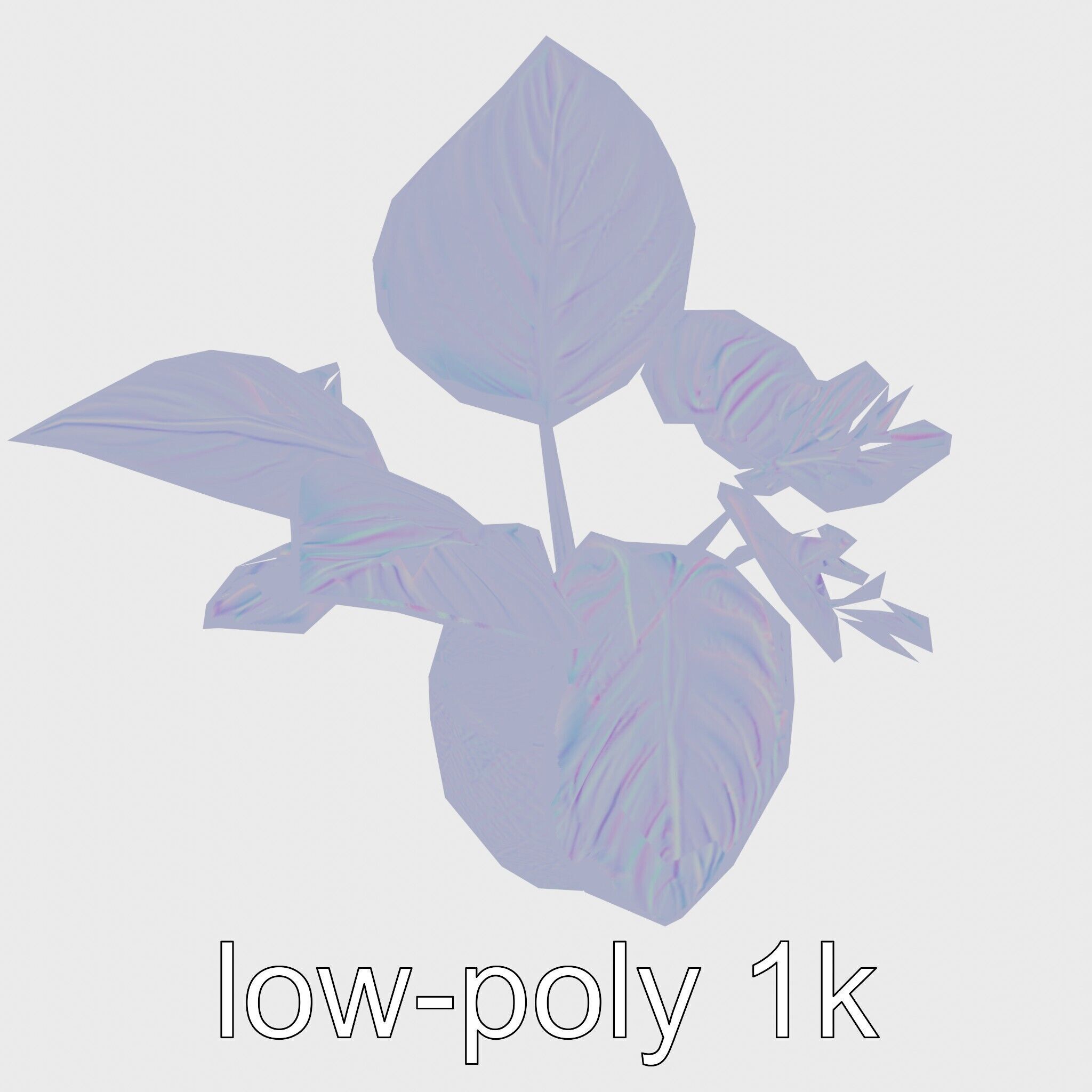 Potted Alocasia Luxurious Decorative model pack Low-poly 3D model_29