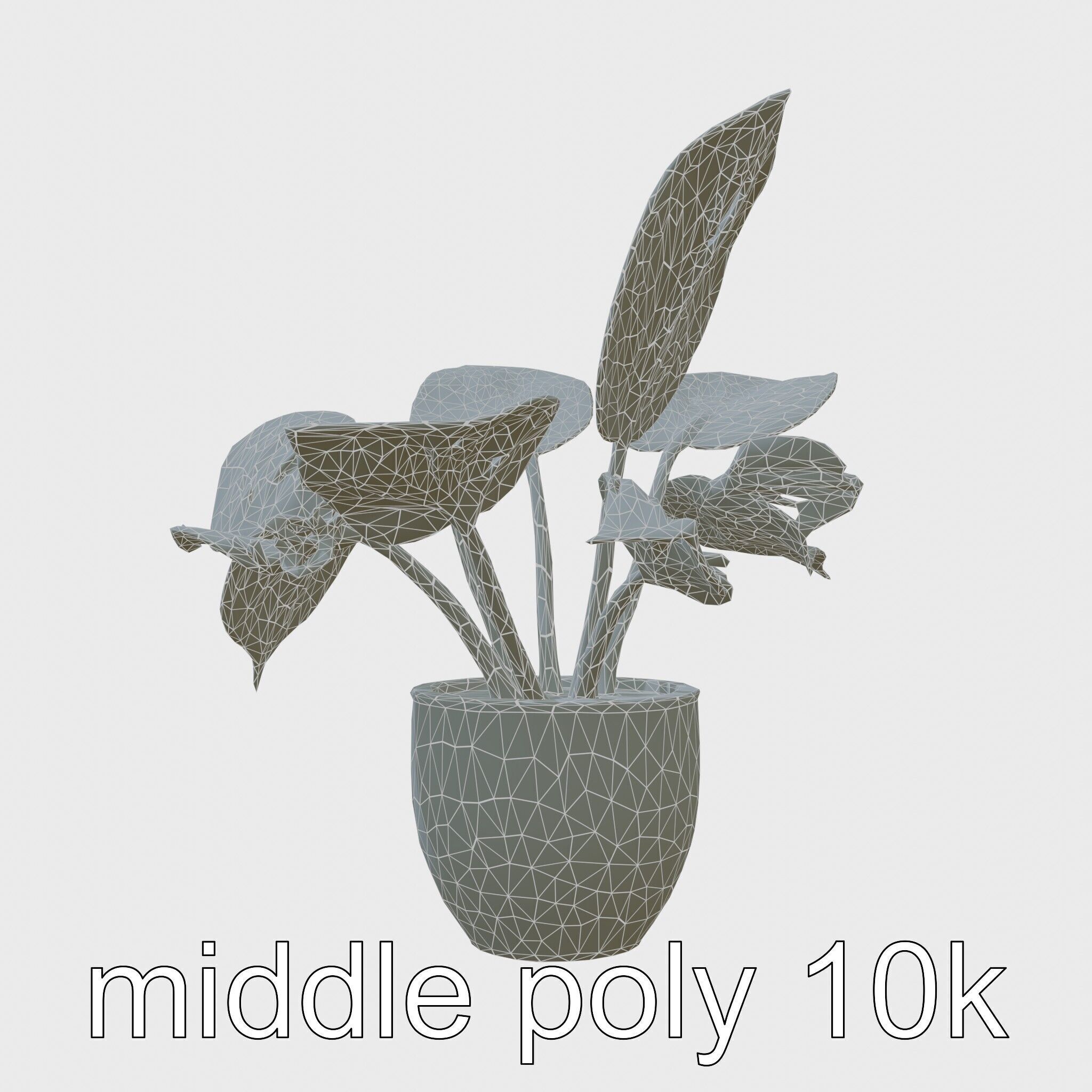 Potted Alocasia Luxurious Decorative model pack Low-poly 3D model_9